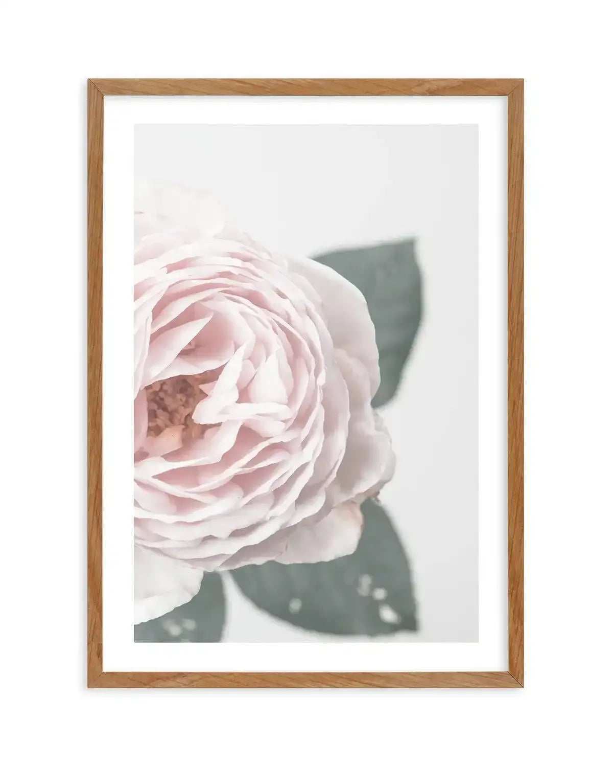 Pretty Little Thing I Art Print-PRINT-Olive et Oriel-Olive et Oriel-50x70 cm | 19.6" x 27.5"-Walnut-With White Border-Buy-Australian-Art-Prints-Online-with-Olive-et-Oriel-Your-Artwork-Specialists-Austrailia-Decorate-With-Coastal-Photo-Wall-Art-Prints-From-Our-Beach-House-Artwork-Collection-Fine-Poster-and-Framed-Artwork