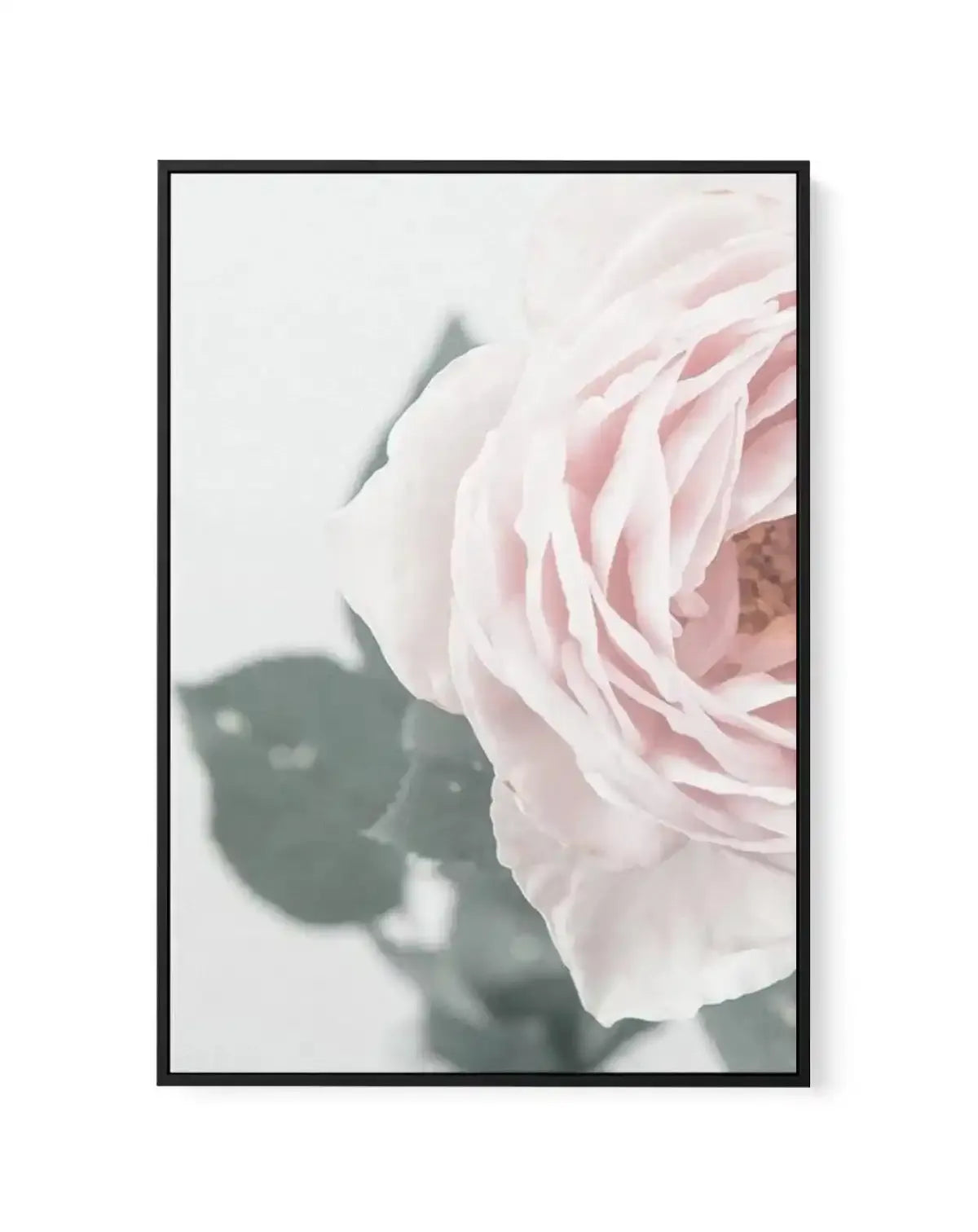 Pretty Little Thing II | Framed Canvas-CANVAS-You can shop wall art online with Olive et Oriel for everything from abstract art to fun kids wall art. Our beautiful modern art prints and canvas art are available from large canvas prints to wall art paintings and our proudly Australian artwork collection offers only the highest quality framed large wall art and canvas art Australia - You can buy fashion photography prints or Hampton print posters and paintings on canvas from Olive et Oriel and hav