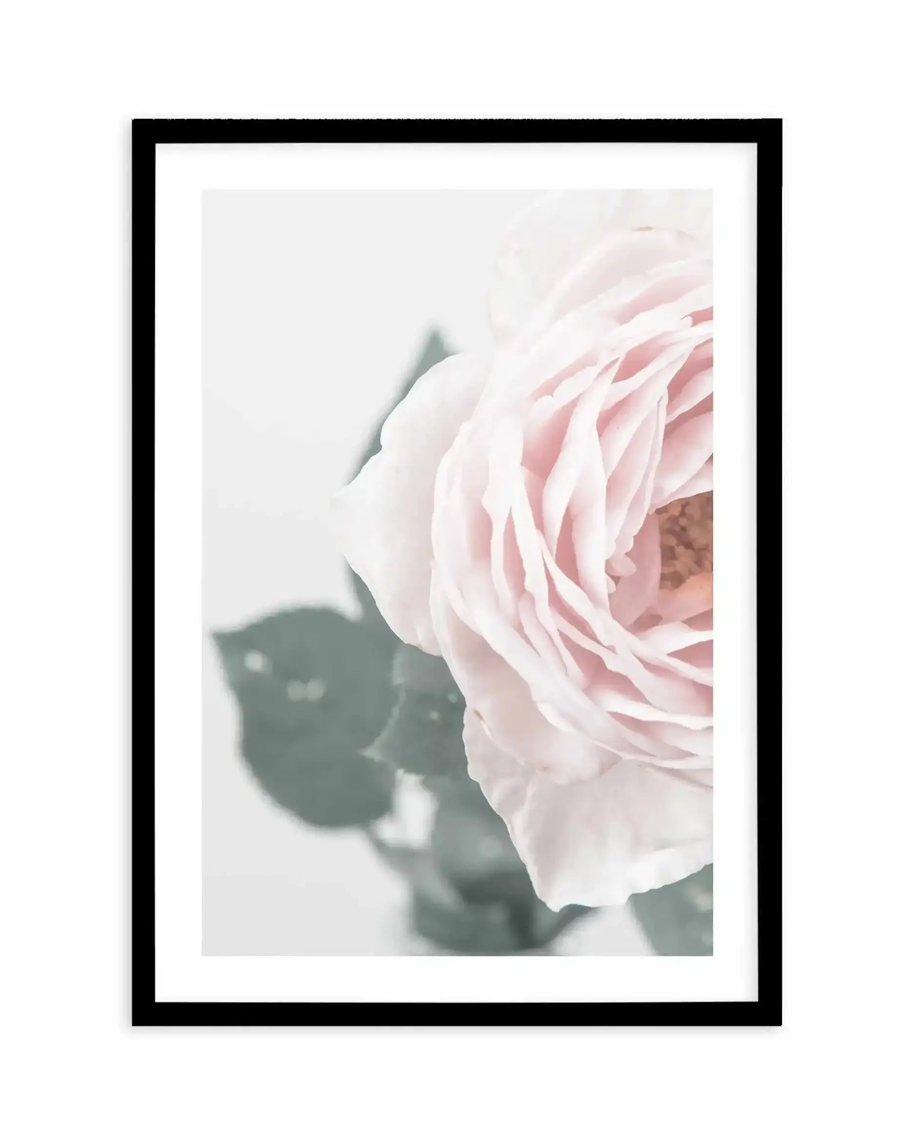 Pretty Little Thing II Art Print-PRINT-Olive et Oriel-Olive et Oriel-A5 | 5.8" x 8.3" | 14.8 x 21cm-Black-With White Border-Buy-Australian-Art-Prints-Online-with-Olive-et-Oriel-Your-Artwork-Specialists-Austrailia-Decorate-With-Coastal-Photo-Wall-Art-Prints-From-Our-Beach-House-Artwork-Collection-Fine-Poster-and-Framed-Artwork