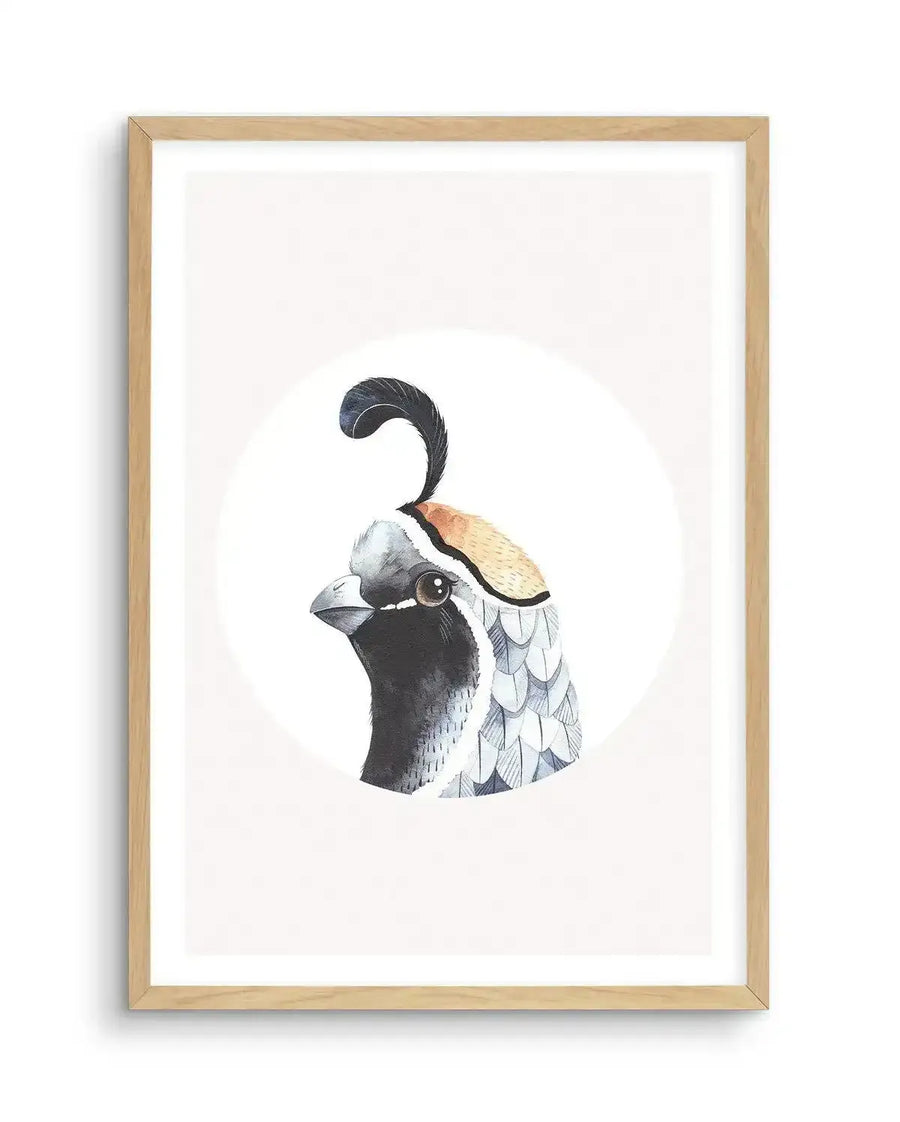 Watercolour art print featuring the head of a California Quail in profile, with a black plume curling forward from its grey head and a warm brown patch on its crown, displayed in a natural oak frame with white border.