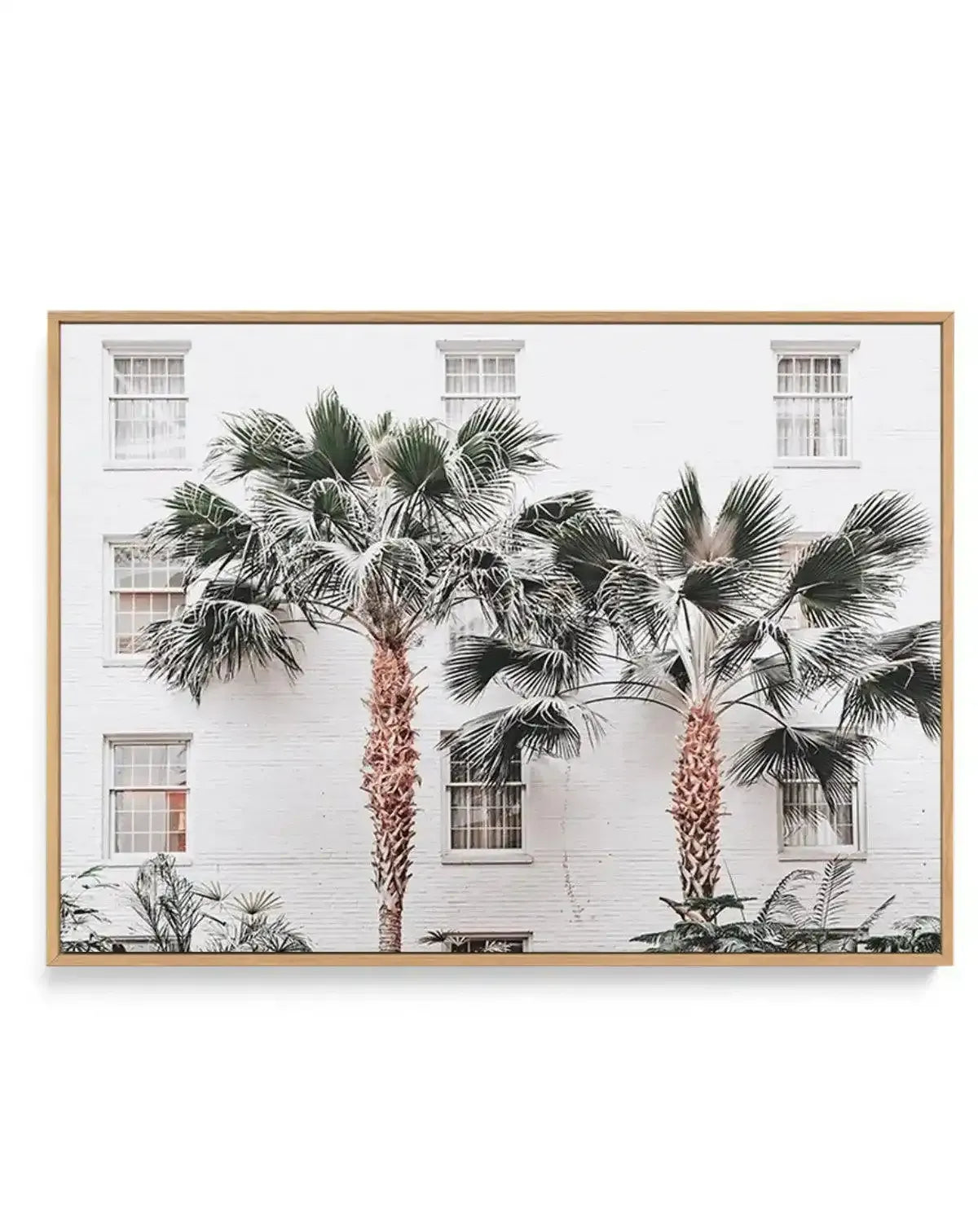 Resort de Palmas | Framed Canvas-CANVAS-You can shop wall art online with Olive et Oriel for everything from abstract art to fun kids wall art. Our beautiful modern art prints and canvas art are available from large canvas prints to wall art paintings and our proudly Australian artwork collection offers only the highest quality framed large wall art and canvas art Australia - You can buy fashion photography prints or Hampton print posters and paintings on canvas from Olive et Oriel and have them