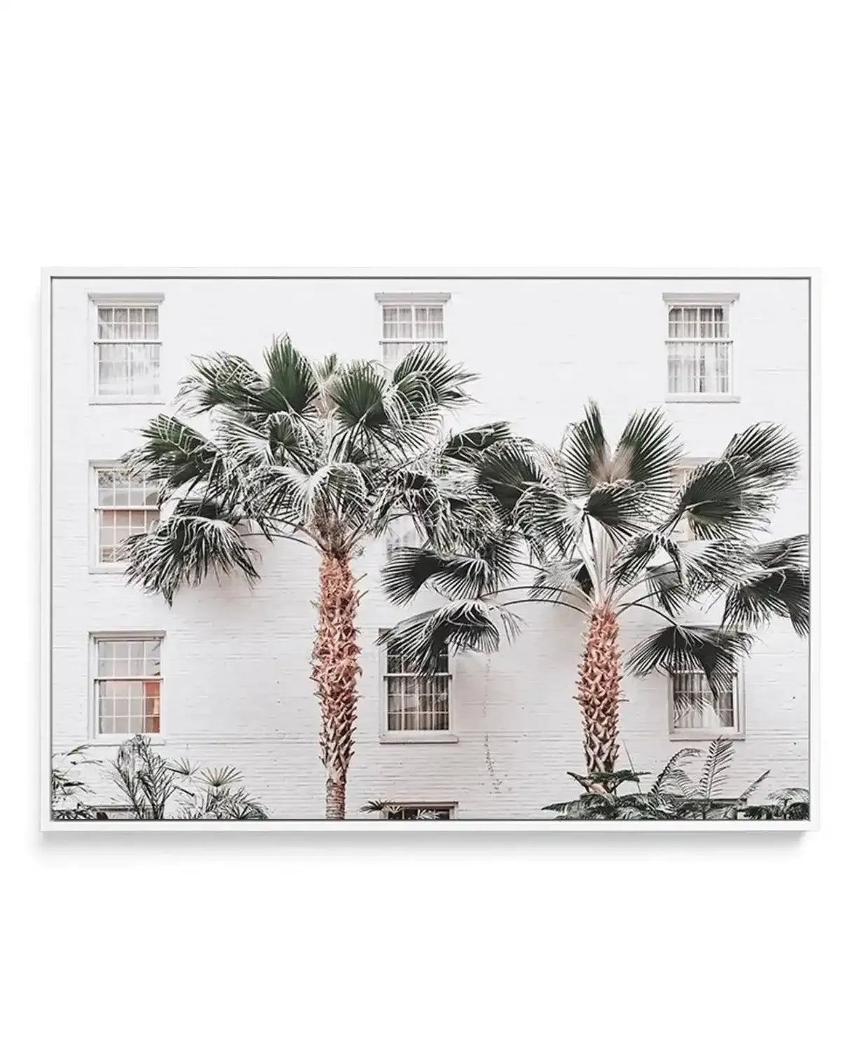 Resort de Palmas | Framed Canvas-CANVAS-You can shop wall art online with Olive et Oriel for everything from abstract art to fun kids wall art. Our beautiful modern art prints and canvas art are available from large canvas prints to wall art paintings and our proudly Australian artwork collection offers only the highest quality framed large wall art and canvas art Australia - You can buy fashion photography prints or Hampton print posters and paintings on canvas from Olive et Oriel and have them