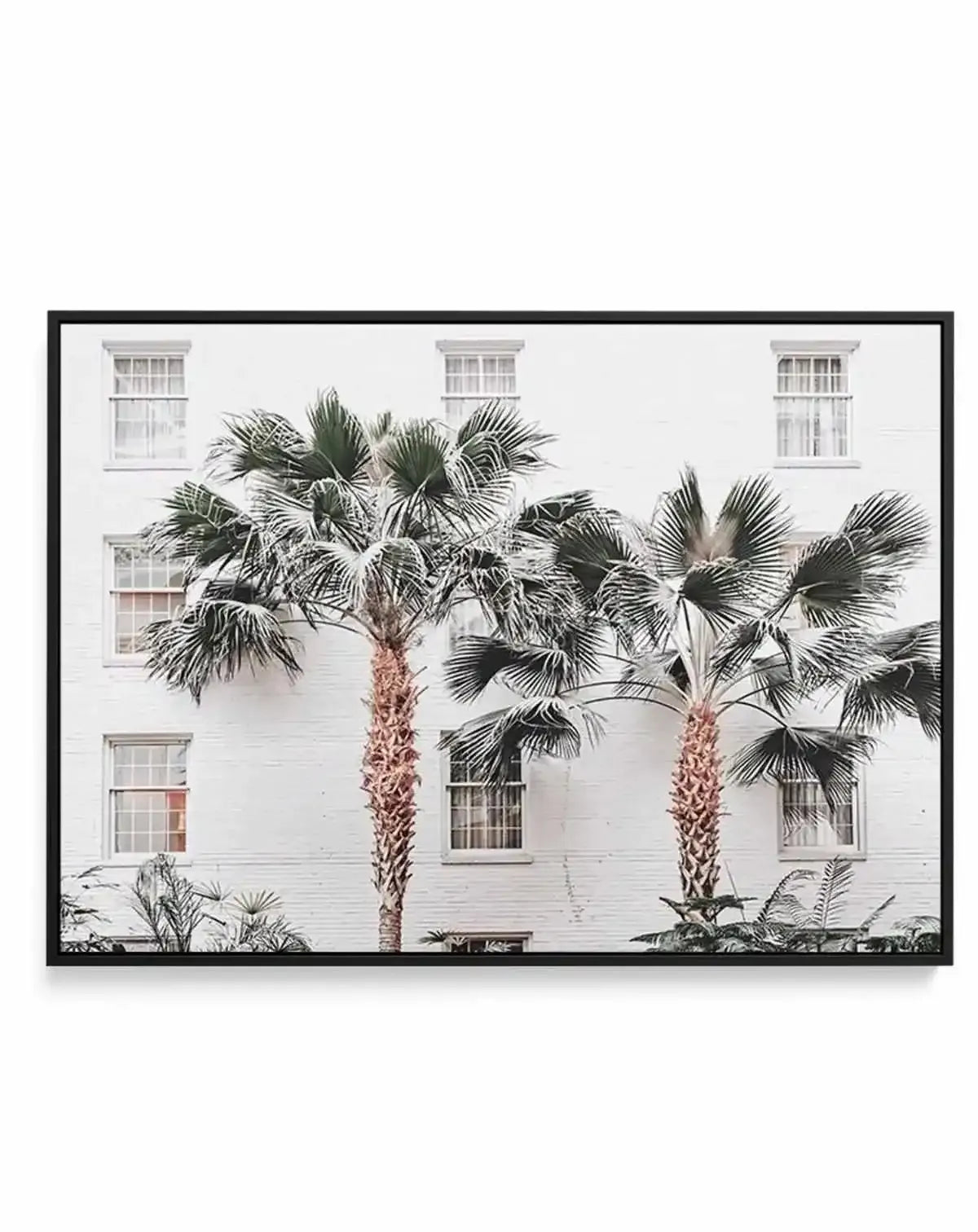 Resort de Palmas | Framed Canvas Art Print from Olive et Oriel where you can shop wallpaper and artworks online