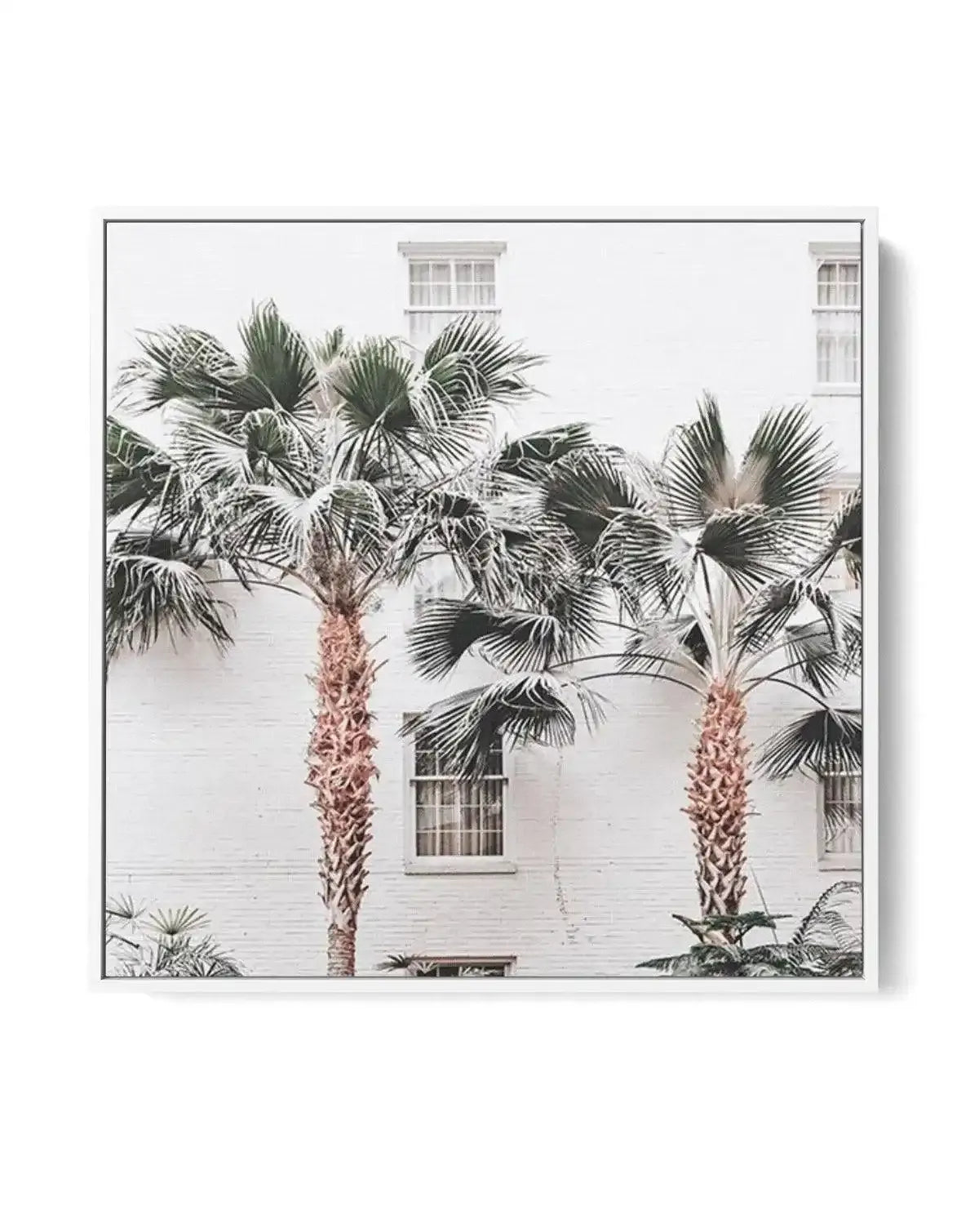 Resort De Palmas SQ | Framed Canvas-CANVAS-You can shop wall art online with Olive et Oriel for everything from abstract art to fun kids wall art. Our beautiful modern art prints and canvas art are available from large canvas prints to wall art paintings and our proudly Australian artwork collection offers only the highest quality framed large wall art and canvas art Australia - You can buy fashion photography prints or Hampton print posters and paintings on canvas from Olive et Oriel and have t