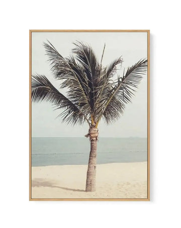 Framed canvas art print featuring a vintage photograph of a single palm tree standing on sandy beach with calm turquoise ocean and hazy sky in background. The palm trunk is tan and textured, with dark green fronds spreading outward. The composition uses muted, naturalistic colors including cream sand, soft teal water, and pale gray-green sky. The canvas is surrounded by a natural wood-tone frame with white border.