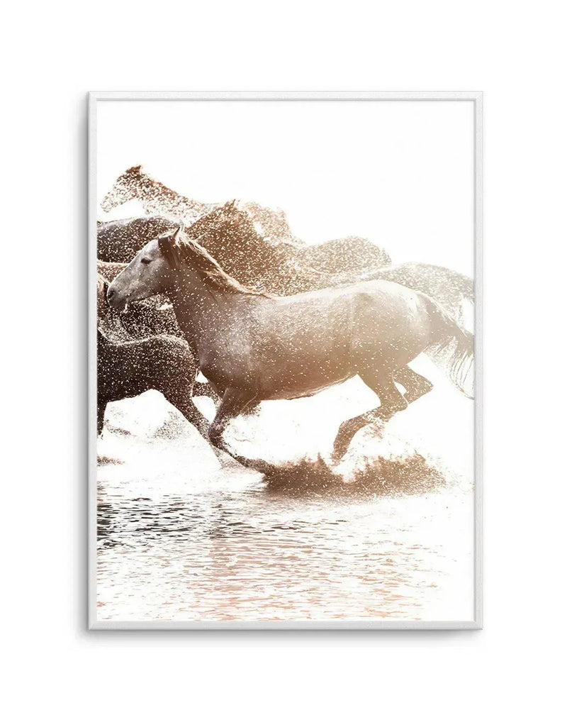 Framed photograph of a herd of wild horses galloping through shallow water, creating splashes and reflections. The image is high-key with bright white highlights and warm golden-brown tones from the sunlight catching the water and horse coats, displayed in a white frame with a white border.