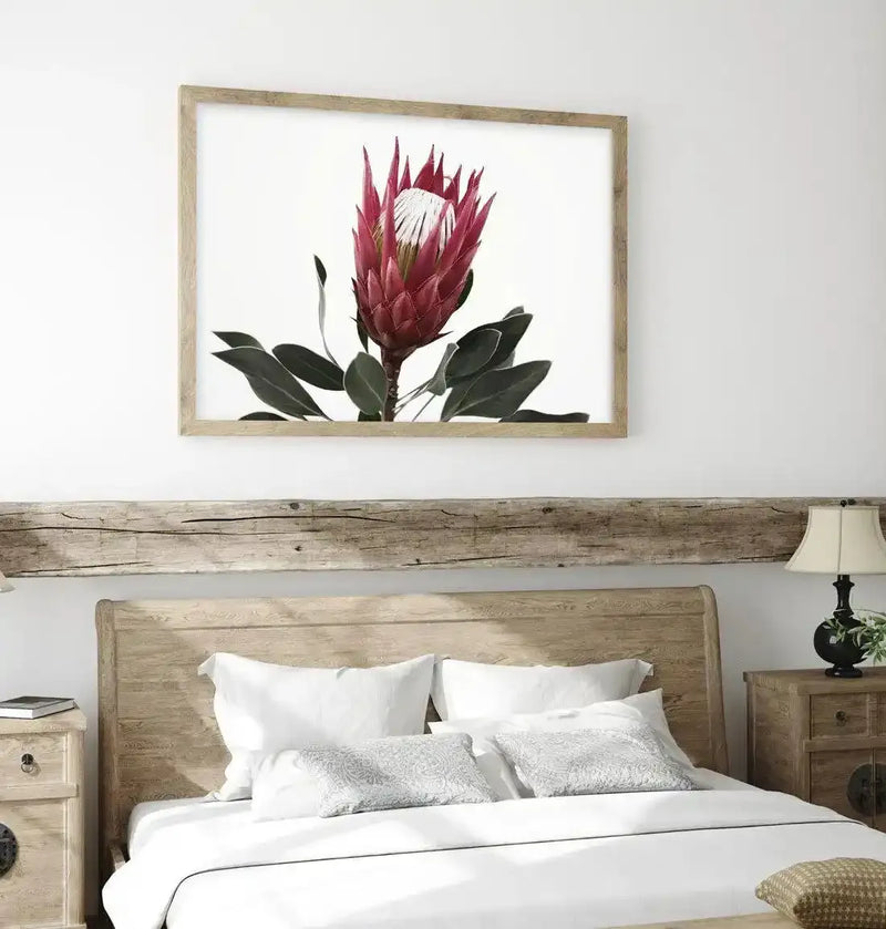 Framed art print of a rouge protea flower displayed above a wooden bed in a bedroom setting. The artwork features a single protea with deep burgundy-red layered petals and a cream-white center, rendered in detailed botanical illustration style. Dark green elongated leaves surround the stem. The print is mounted in a natural wood-tone frame with white border against a white wall. Below, a rustic wooden bed with white bedding and decorative pillows is visible, alongside a wooden nightstand with a black lamp.