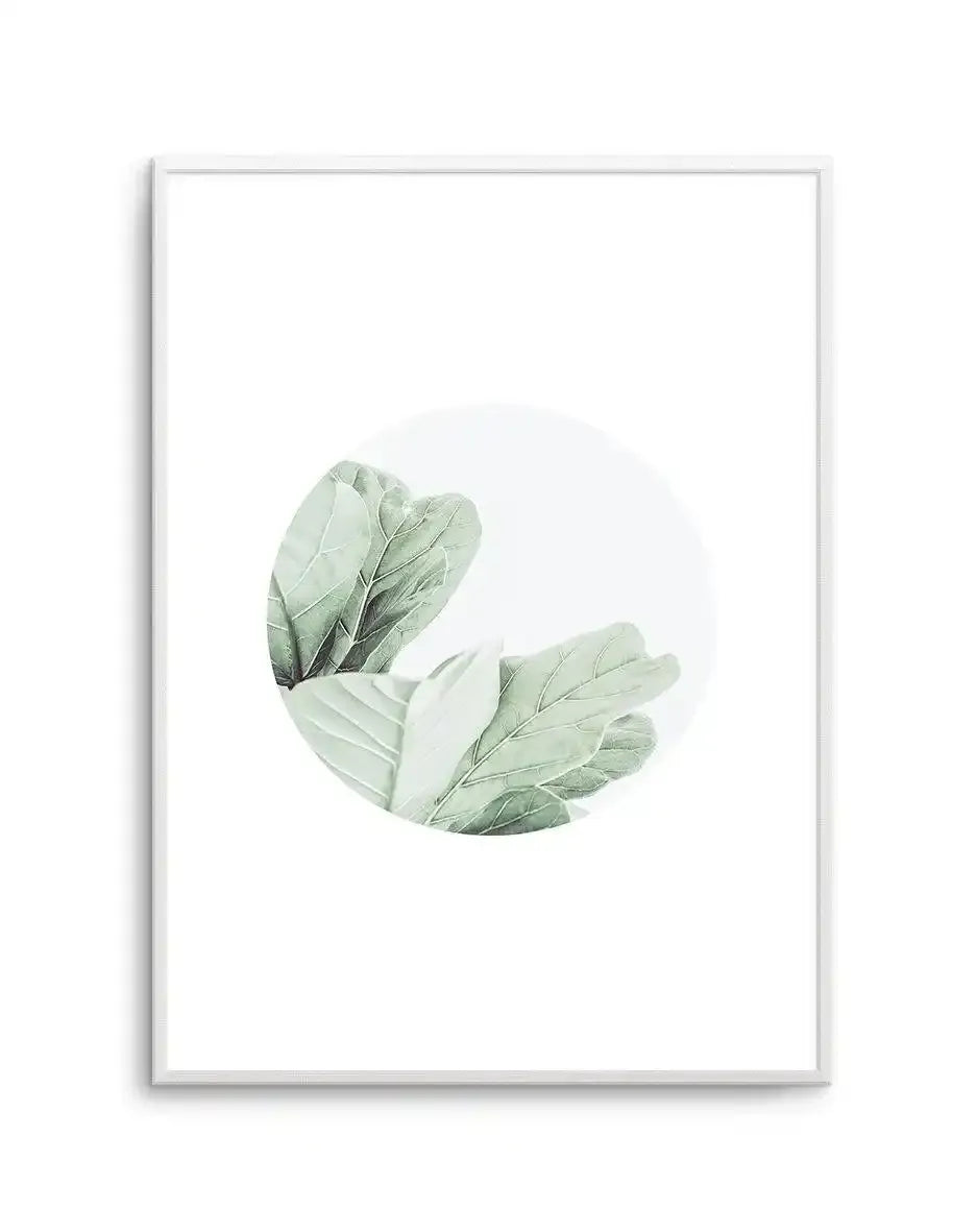 Round Fig Art Print-PRINT-Olive et Oriel-Olive et Oriel-A4 | 8.3" x 11.7" | 21 x 29.7cm-Unframed Art Print-With White Border-Buy-Australian-Art-Prints-Online-with-Olive-et-Oriel-Your-Artwork-Specialists-Austrailia-Decorate-With-Coastal-Photo-Wall-Art-Prints-From-Our-Beach-House-Artwork-Collection-Fine-Poster-and-Framed-Artwork