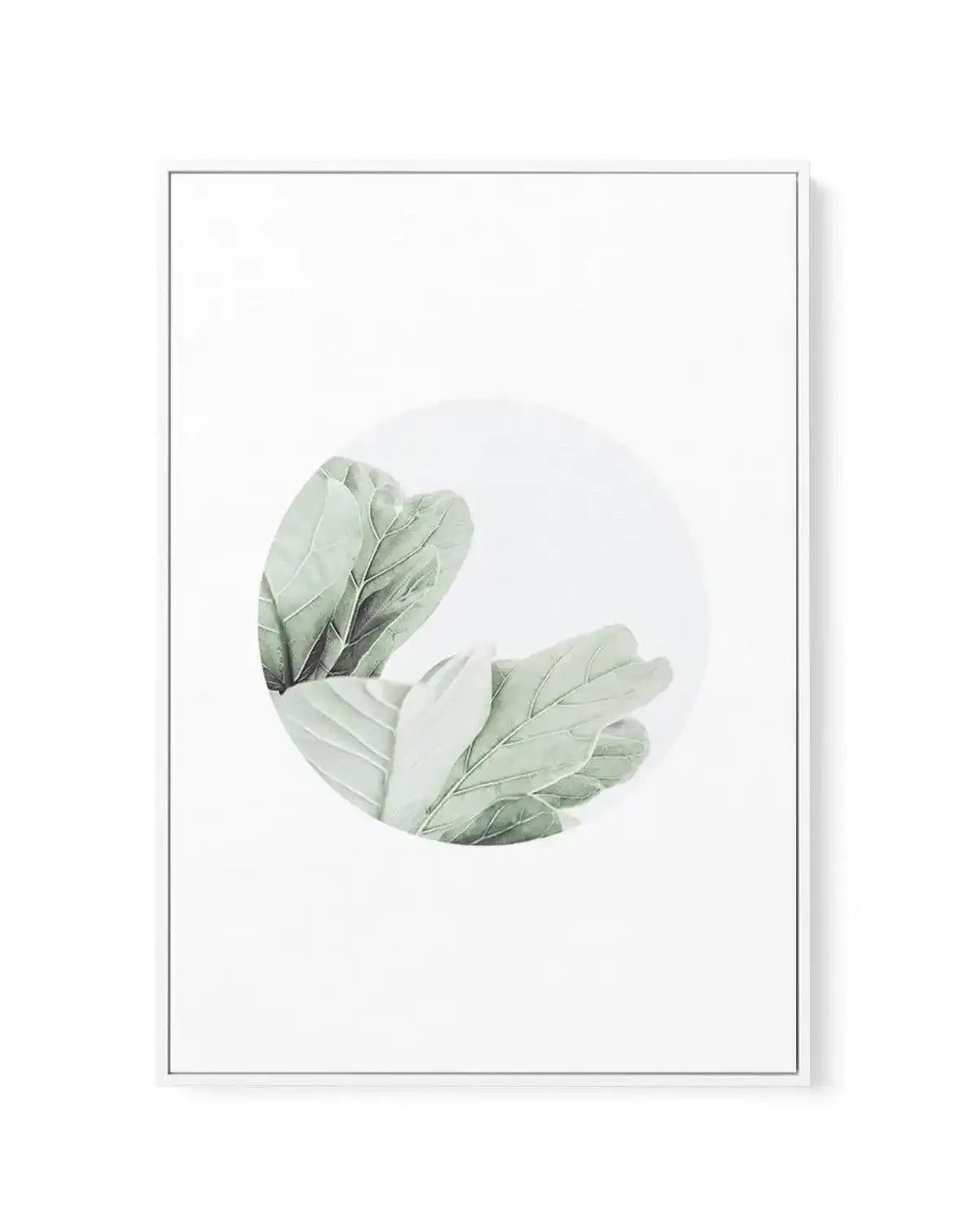 Round Fig | Framed Canvas-CANVAS-You can shop wall art online with Olive et Oriel for everything from abstract art to fun kids wall art. Our beautiful modern art prints and canvas art are available from large canvas prints to wall art paintings and our proudly Australian artwork collection offers only the highest quality framed large wall art and canvas art Australia - You can buy fashion photography prints or Hampton print posters and paintings on canvas from Olive et Oriel and have them delive