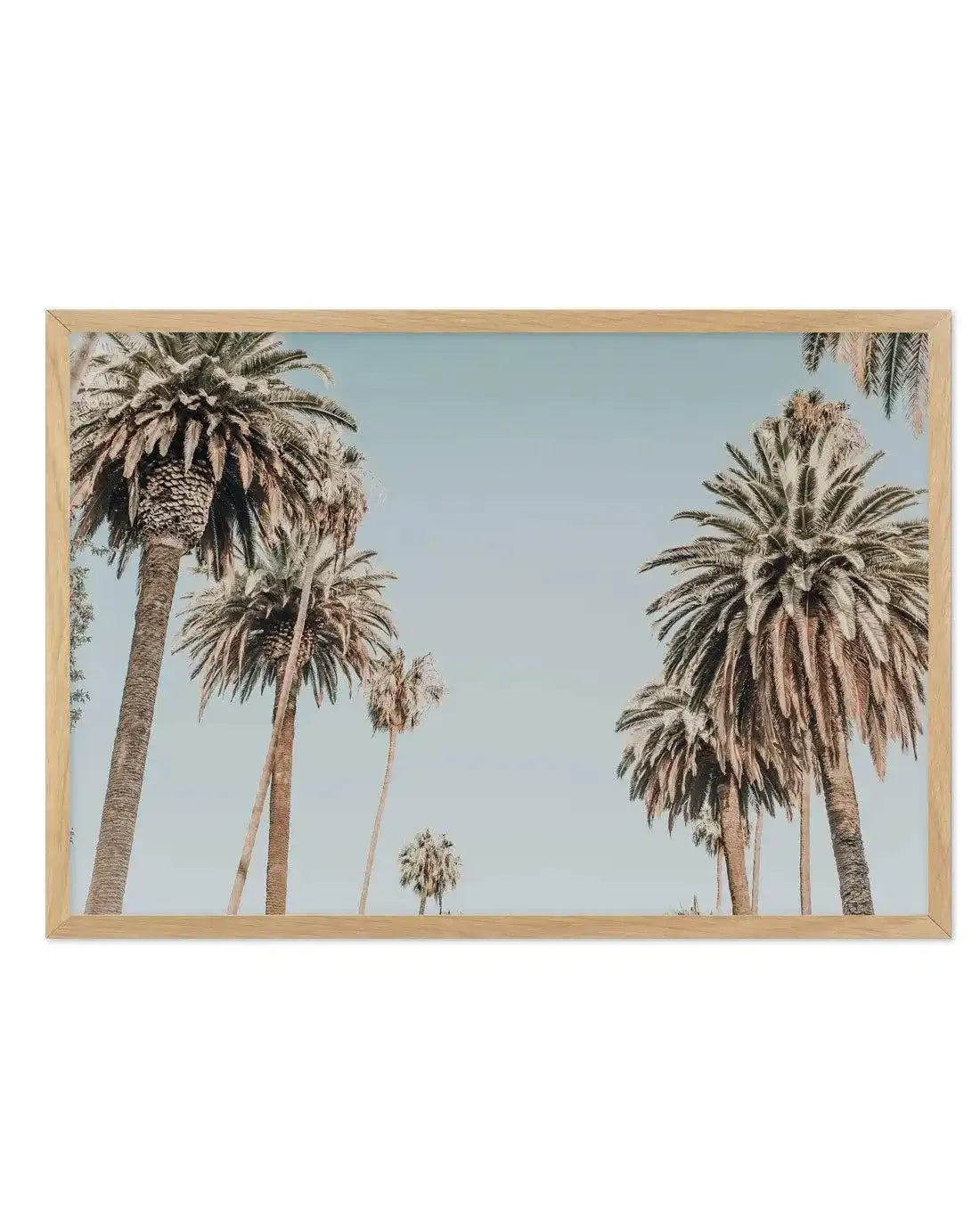 Santa Monica Palms | LS Art Print-PRINT-Olive et Oriel-Olive et Oriel-A5 | 5.8" x 8.3" | 14.8 x 21cm-Oak-With White Border-Buy-Australian-Art-Prints-Online-with-Olive-et-Oriel-Your-Artwork-Specialists-Austrailia-Decorate-With-Coastal-Photo-Wall-Art-Prints-From-Our-Beach-House-Artwork-Collection-Fine-Poster-and-Framed-Artwork