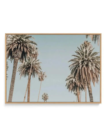 Framed canvas art print featuring tall palm trees against a clear, pale blue sky. The composition shows five palm trees of varying heights with detailed trunk textures and feathery fronds, rendered in a soft, muted color palette of sage green, cream, and tan tones. The photograph-style image captures a serene, coastal aesthetic. The canvas is mounted in a natural wood frame with a white border, displayed horizontally in landscape orientation.