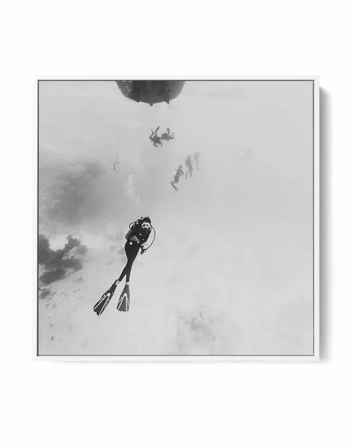 Scuba II SQ | Framed Canvas-CANVAS-You can shop wall art online with Olive et Oriel for everything from abstract art to fun kids wall art. Our beautiful modern art prints and canvas art are available from large canvas prints to wall art paintings and our proudly Australian artwork collection offers only the highest quality framed large wall art and canvas art Australia - You can buy fashion photography prints or Hampton print posters and paintings on canvas from Olive et Oriel and have them deli