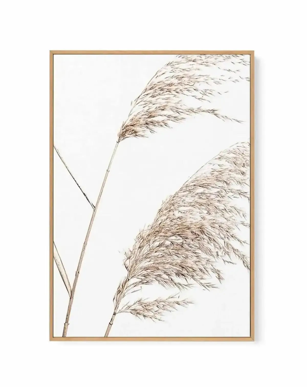 Sea Grass I | Framed Canvas Art Print from Olive et Oriel where you can shop wallpaper and artworks online