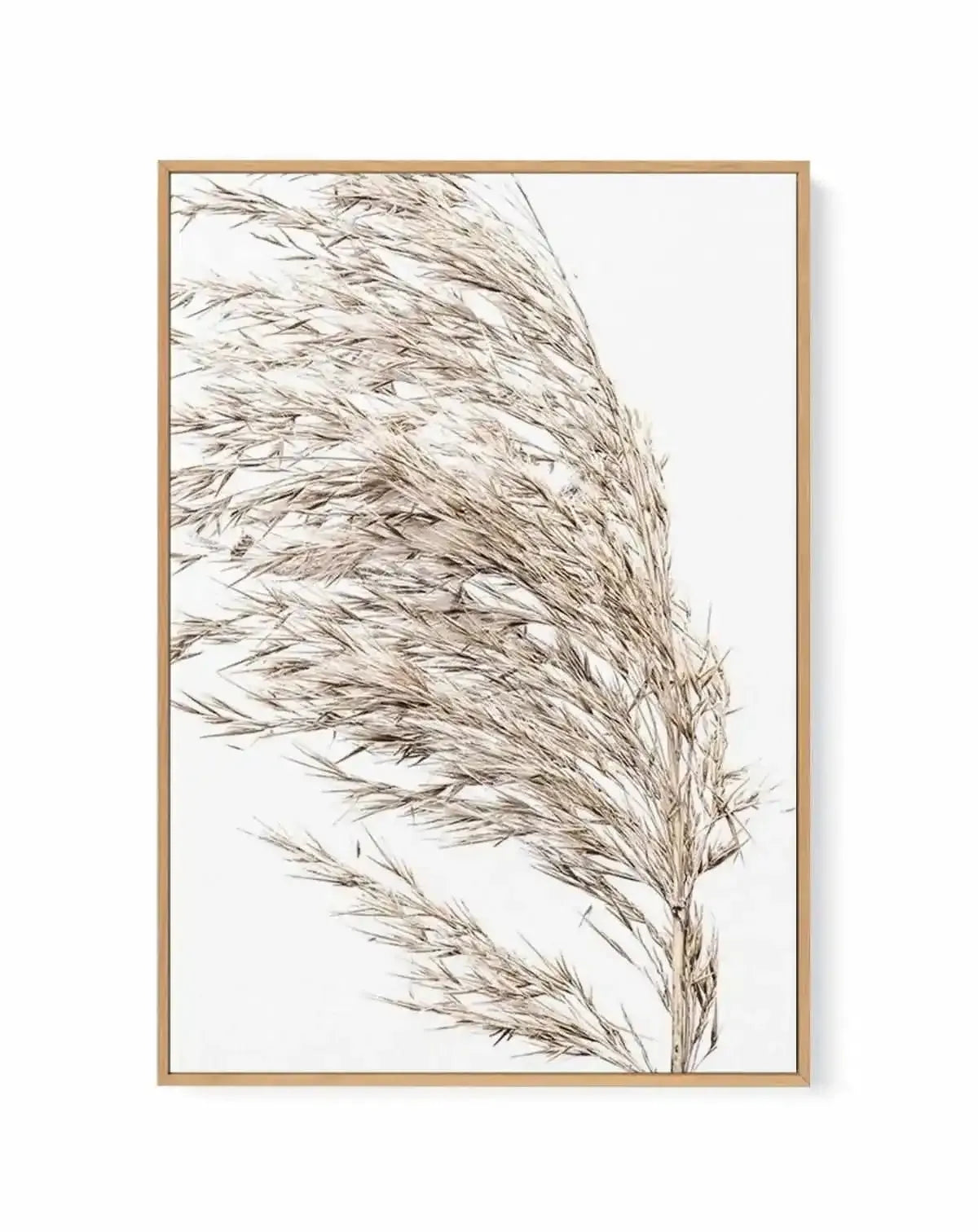 Sea Grass II | Framed Canvas Art Print from Olive et Oriel where you can shop wallpaper and artworks online