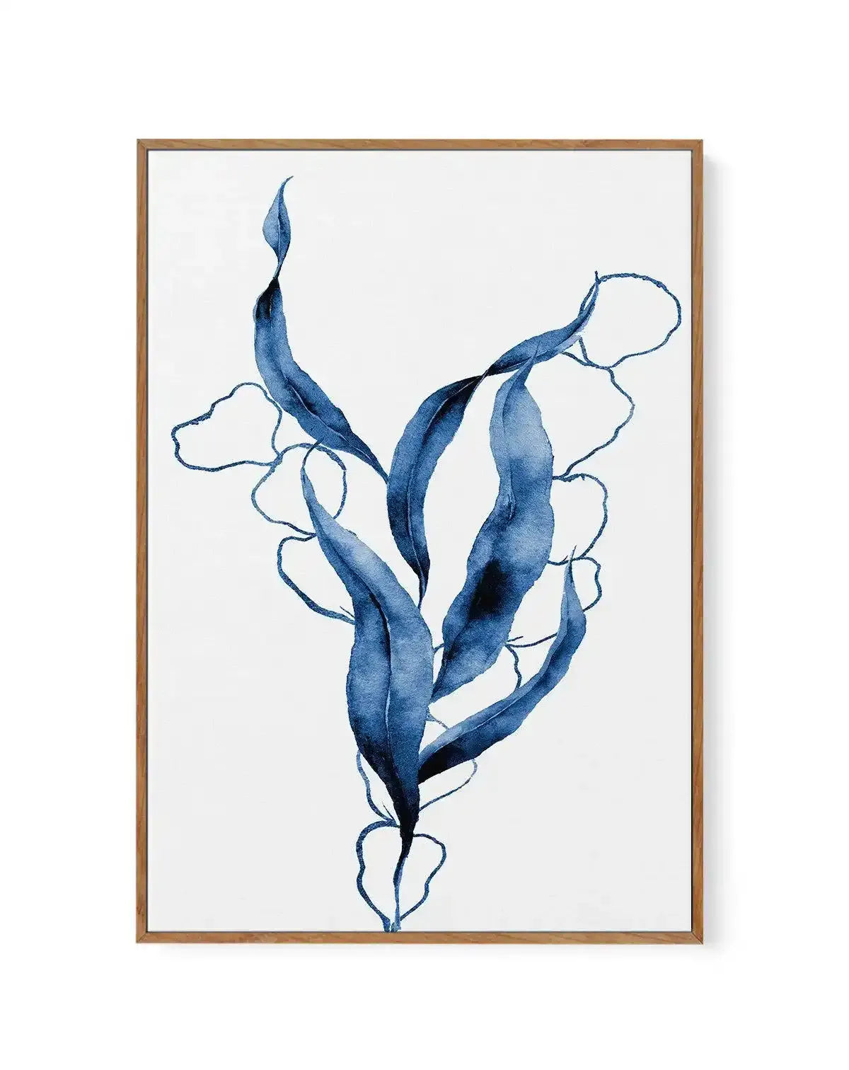 Sea Kelp Abstract III | Framed Canvas-CANVAS-You can shop wall art online with Olive et Oriel for everything from abstract art to fun kids wall art. Our beautiful modern art prints and canvas art are available from large canvas prints to wall art paintings and our proudly Australian artwork collection offers only the highest quality framed large wall art and canvas art Australia - You can buy fashion photography prints or Hampton print posters and paintings on canvas from Olive et Oriel and have