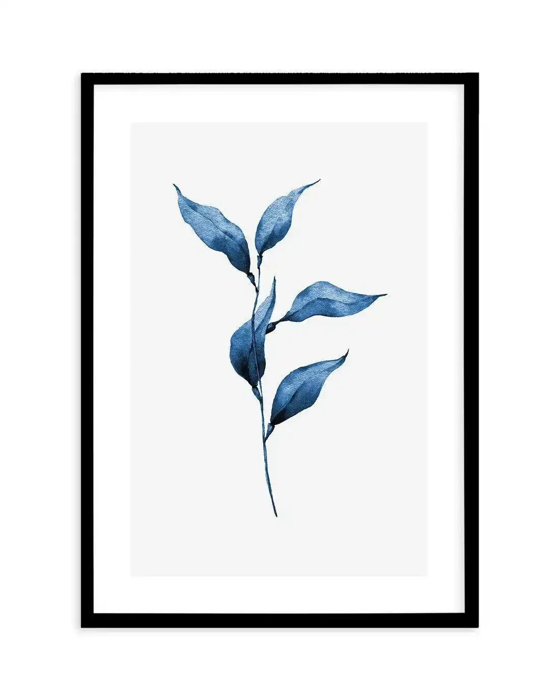 Sea Kelp I Art Print-PRINT-Olive et Oriel-Olive et Oriel-A5 | 5.8" x 8.3" | 14.8 x 21cm-Black-With White Border-Buy-Australian-Art-Prints-Online-with-Olive-et-Oriel-Your-Artwork-Specialists-Austrailia-Decorate-With-Coastal-Photo-Wall-Art-Prints-From-Our-Beach-House-Artwork-Collection-Fine-Poster-and-Framed-Artwork