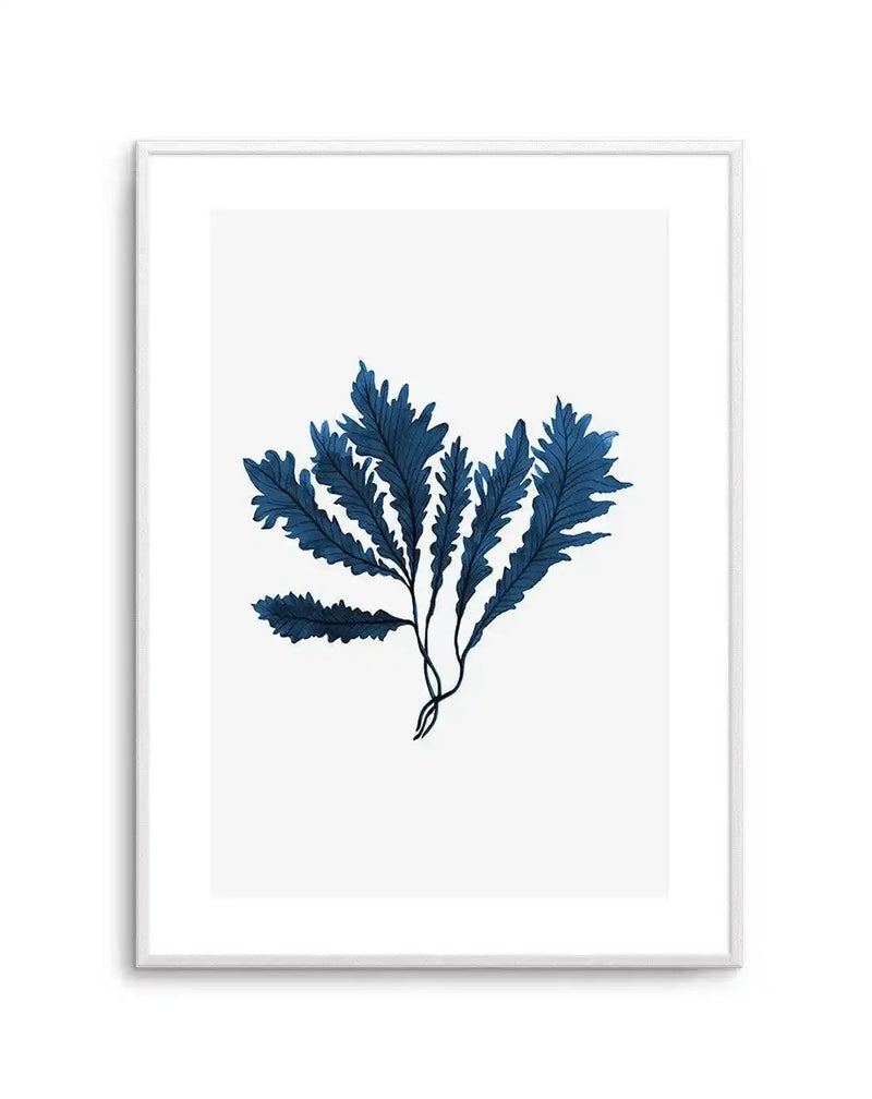 Watercolour art print featuring a cluster of dark blue sea kelp with serrated edges and visible brushstroke texture, printed on fine art paper and displayed in a white frame with white border.