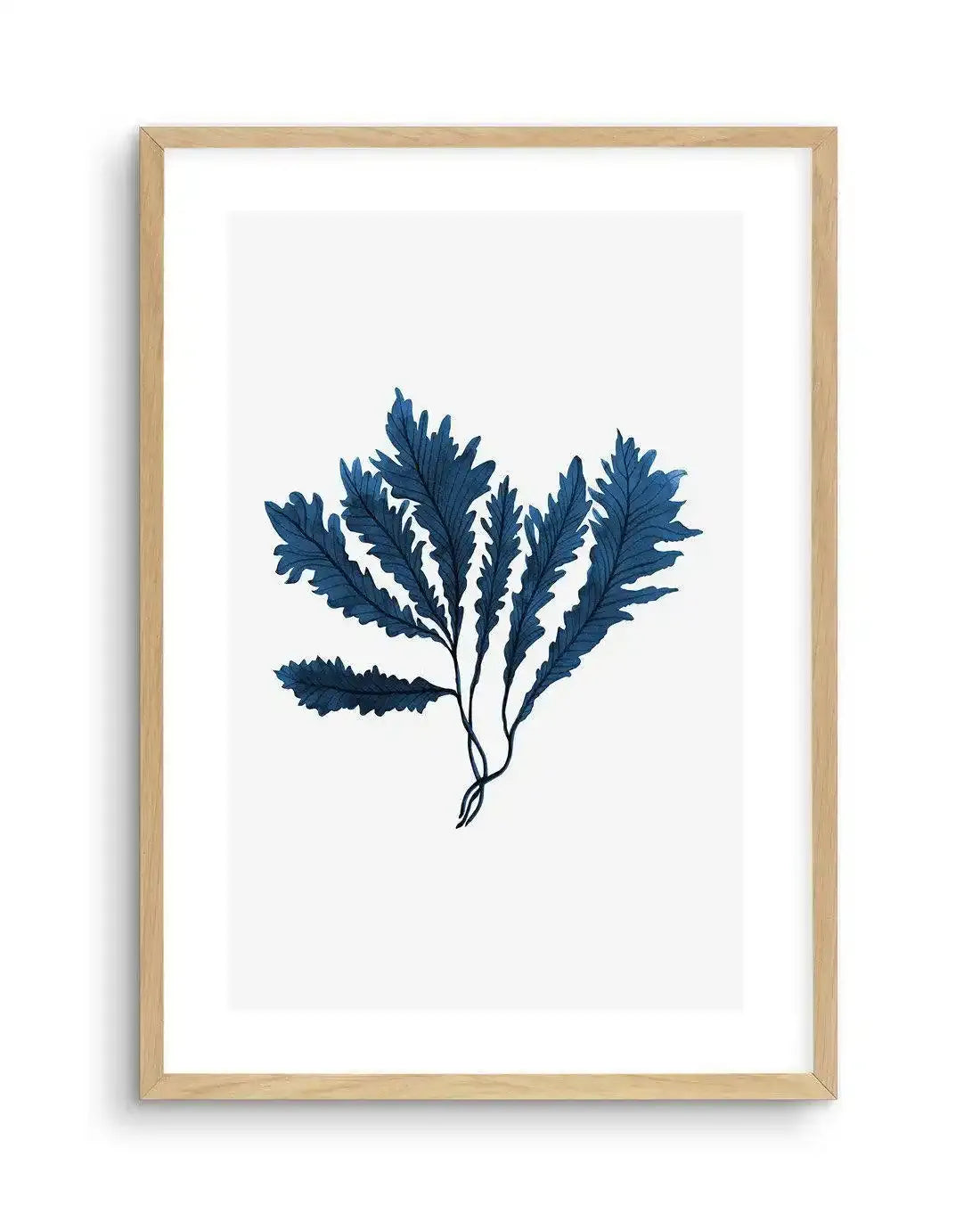 Sea Kelp II Art Print-PRINT-Olive et Oriel-Olive et Oriel-A5 | 5.8" x 8.3" | 14.8 x 21cm-Oak-With White Border-Buy-Australian-Art-Prints-Online-with-Olive-et-Oriel-Your-Artwork-Specialists-Austrailia-Decorate-With-Coastal-Photo-Wall-Art-Prints-From-Our-Beach-House-Artwork-Collection-Fine-Poster-and-Framed-Artwork