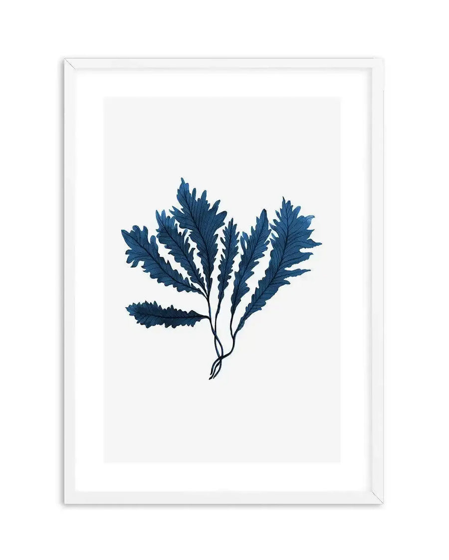 Watercolour art print featuring a cluster of dark blue sea kelp with serrated edges and delicate stems, printed on fine art paper and displayed in a white frame with white border.