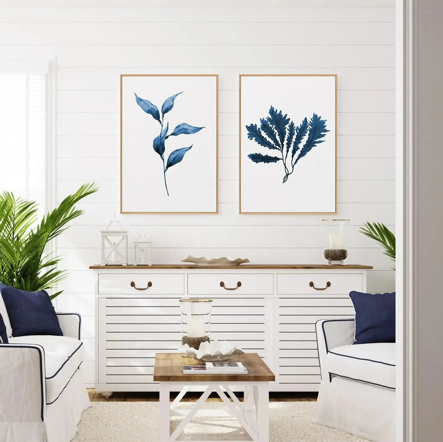 Sea Kelp II | Framed Canvas-CANVAS-You can shop wall art online with Olive et Oriel for everything from abstract art to fun kids wall art. Our beautiful modern art prints and canvas art are available from large canvas prints to wall art paintings and our proudly Australian artwork collection offers only the highest quality framed large wall art and canvas art Australia - You can buy fashion photography prints or Hampton print posters and paintings on canvas from Olive et Oriel and have them deli