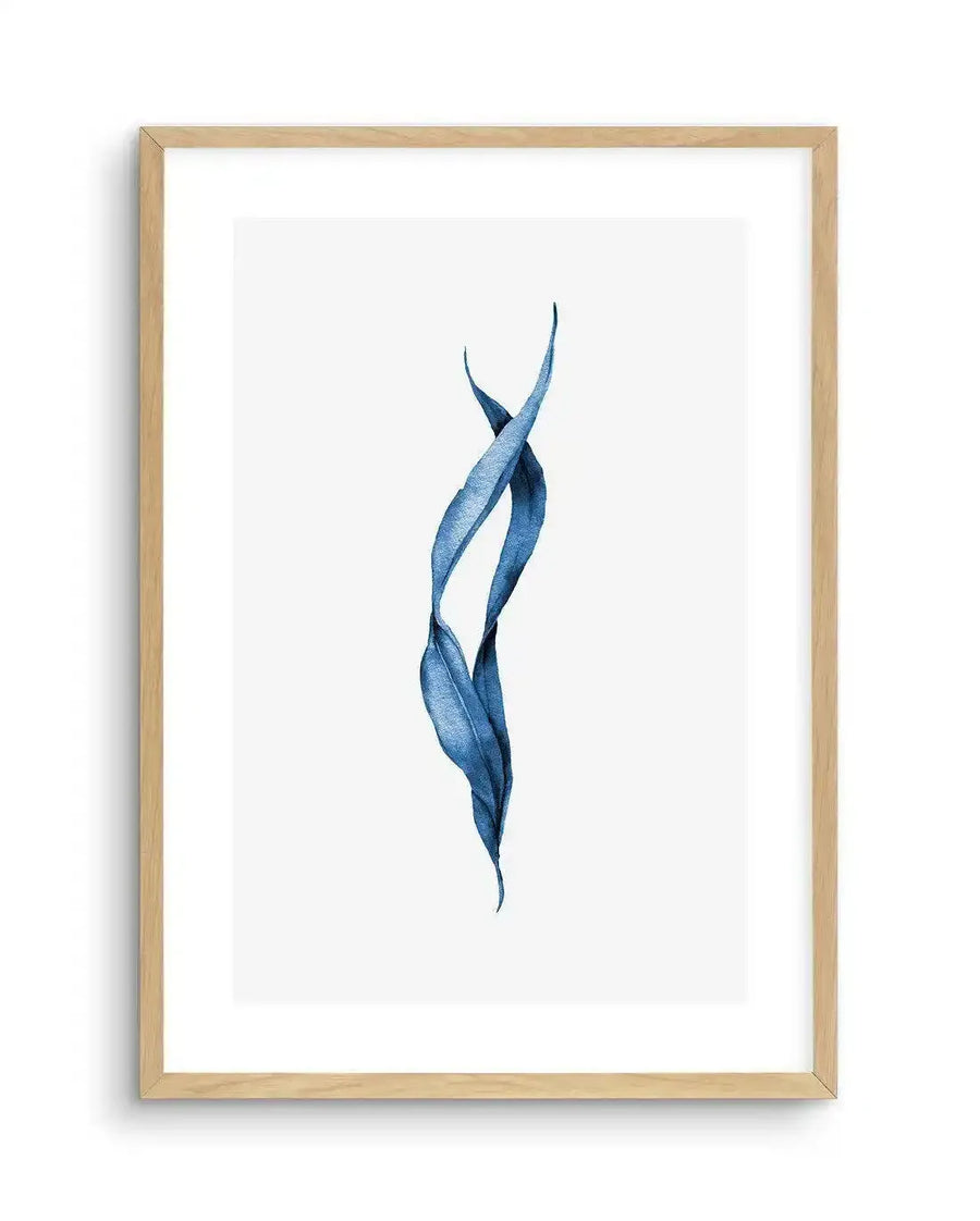 Watercolour art print featuring two intertwined sea kelp leaves in a deep, vibrant blue against a clean white background, printed on fine art paper and displayed in a natural oak frame with white border.