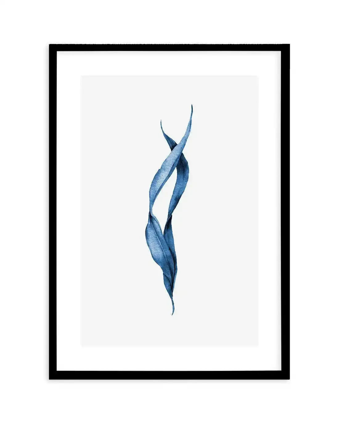 Sea Kelp III Art Print-PRINT-Olive et Oriel-Olive et Oriel-A5 | 5.8" x 8.3" | 14.8 x 21cm-Black-With White Border-Buy-Australian-Art-Prints-Online-with-Olive-et-Oriel-Your-Artwork-Specialists-Austrailia-Decorate-With-Coastal-Photo-Wall-Art-Prints-From-Our-Beach-House-Artwork-Collection-Fine-Poster-and-Framed-Artwork