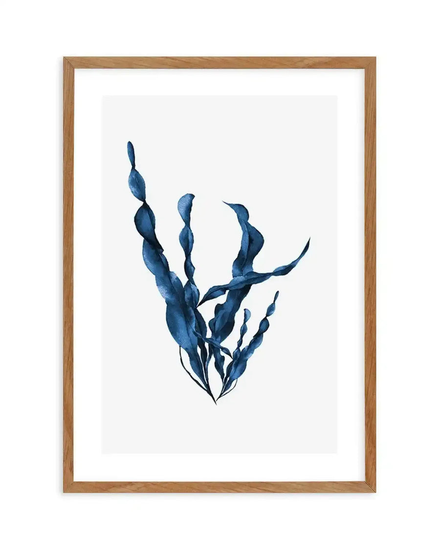 Watercolour art print featuring a cluster of deep blue sea kelp with long, flowing fronds and organic shapes, printed on fine art paper and displayed in a natural oak frame with white border