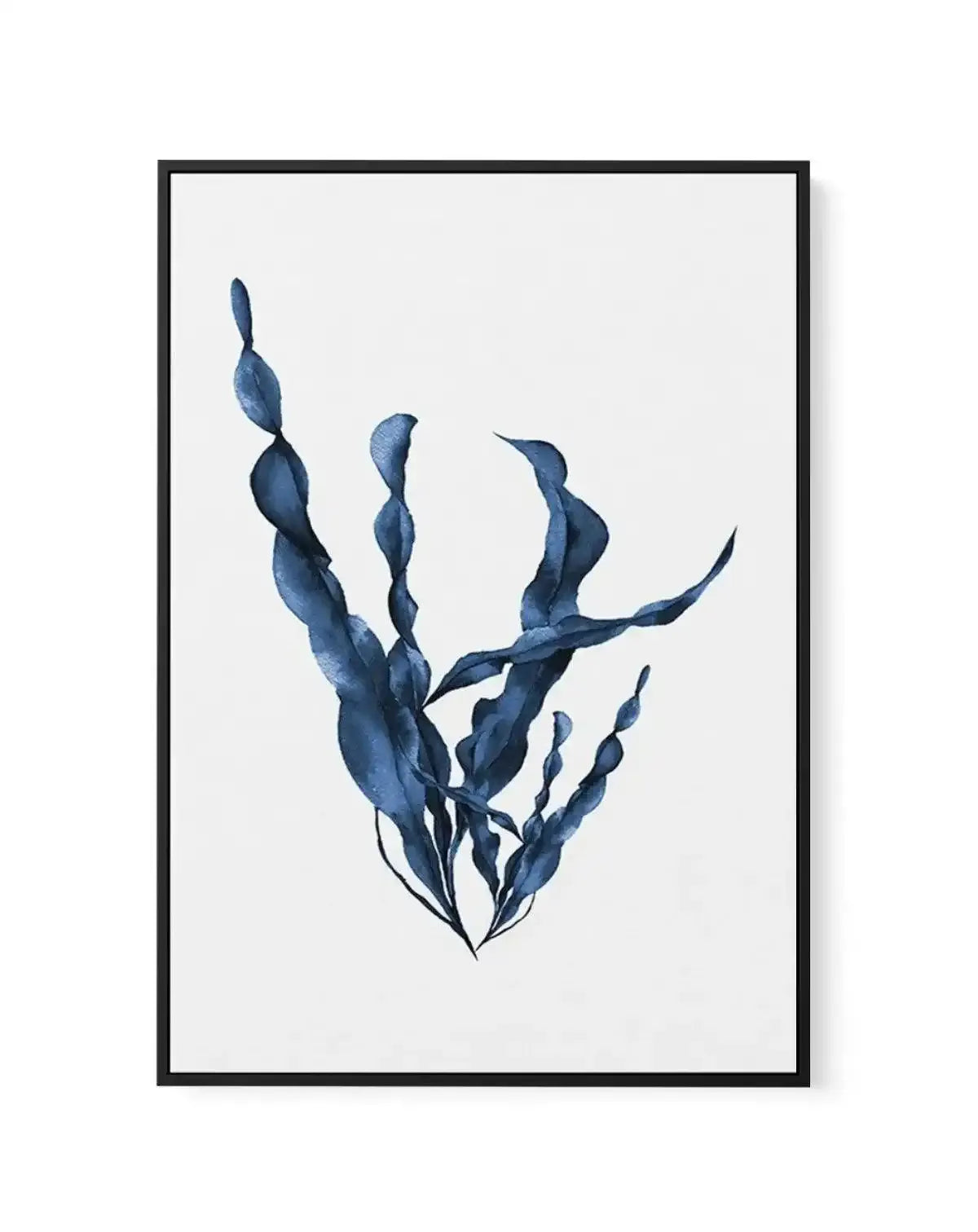 Sea Kelp IV | Framed Canvas-CANVAS-You can shop wall art online with Olive et Oriel for everything from abstract art to fun kids wall art. Our beautiful modern art prints and canvas art are available from large canvas prints to wall art paintings and our proudly Australian artwork collection offers only the highest quality framed large wall art and canvas art Australia - You can buy fashion photography prints or Hampton print posters and paintings on canvas from Olive et Oriel and have them deli