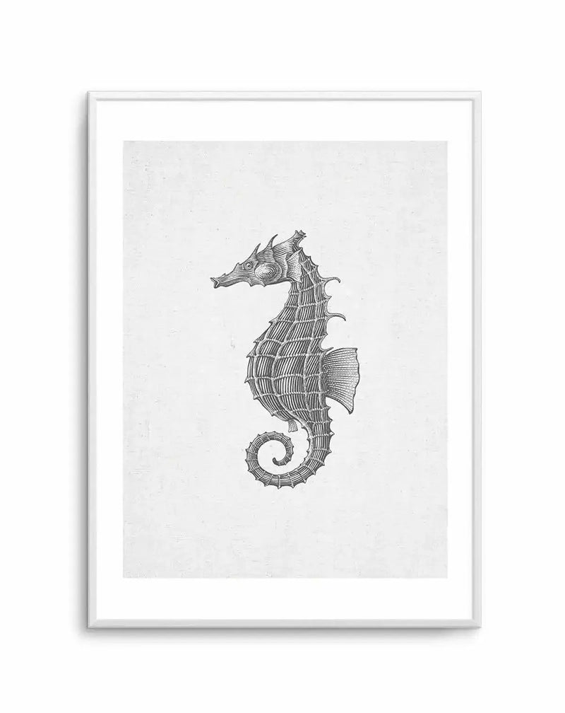 "Black and white art print featuring a detailed illustration of a seahorse on a textured off-white background, printed on fine art paper and displayed in a white frame with white border. The seahorse is depicted in profile with a curled tail and intricate cross-hatching to show texture and form."