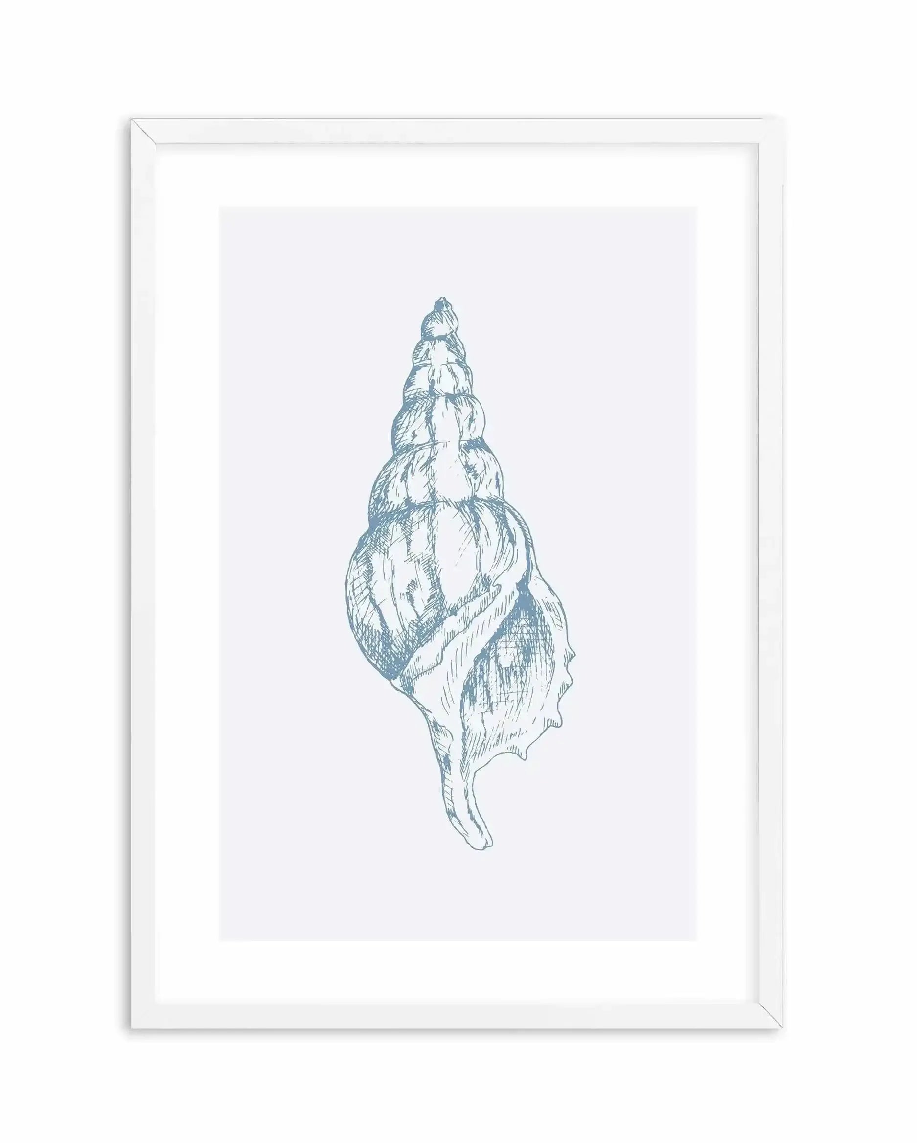 Seashell | Atlantic Triton Art Print-PRINT-Olive et Oriel-Olive et Oriel-A5 | 5.8" x 8.3" | 14.8 x 21cm-White-With White Border-Buy-Australian-Art-Prints-Online-with-Olive-et-Oriel-Your-Artwork-Specialists-Austrailia-Decorate-With-Coastal-Photo-Wall-Art-Prints-From-Our-Beach-House-Artwork-Collection-Fine-Poster-and-Framed-Artwork