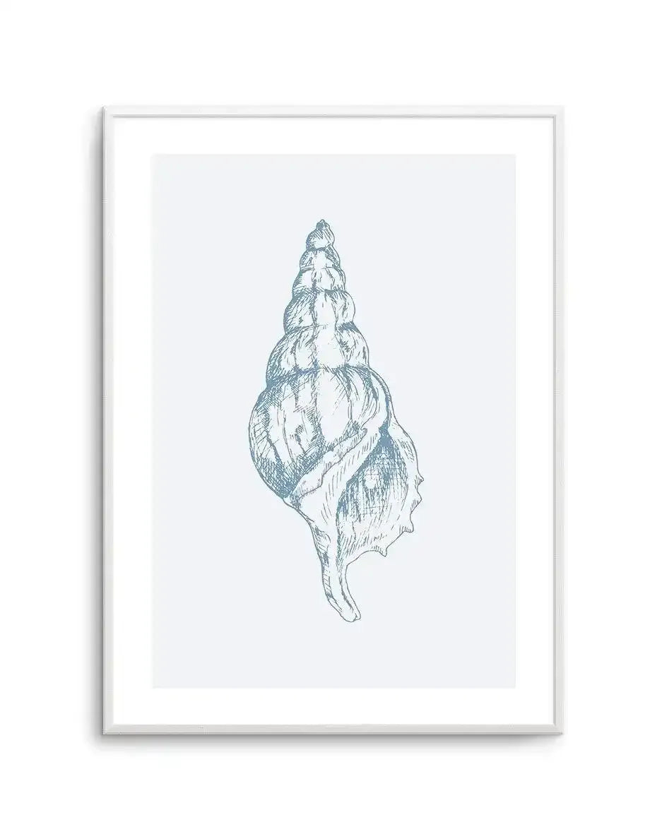 Seashell | Atlantic Triton Art Print-PRINT-Olive et Oriel-Olive et Oriel-A5 | 5.8" x 8.3" | 14.8 x 21cm-Unframed Art Print-With White Border-Buy-Australian-Art-Prints-Online-with-Olive-et-Oriel-Your-Artwork-Specialists-Austrailia-Decorate-With-Coastal-Photo-Wall-Art-Prints-From-Our-Beach-House-Artwork-Collection-Fine-Poster-and-Framed-Artwork
