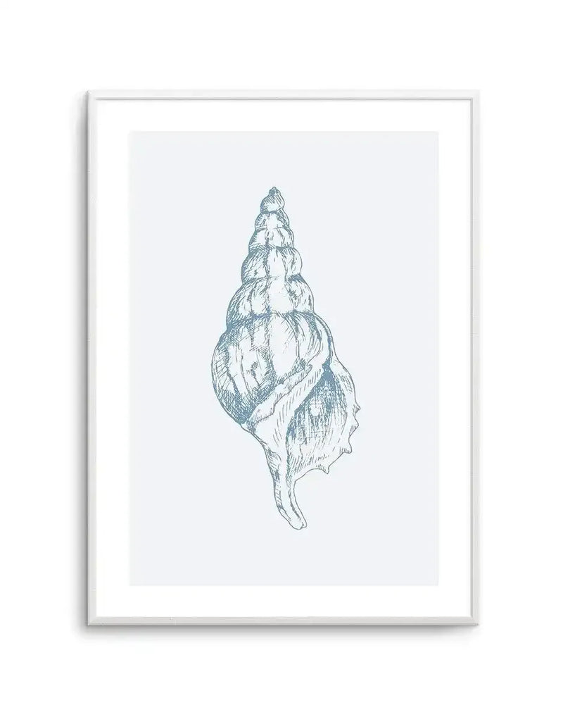 Framed art print featuring a detailed pen and ink illustration of an Atlantic Triton seashell. The shell is drawn in teal-blue linework with fine cross-hatching and shading that creates dimension and texture, shown against a pale gray background. The spiral shell tapers to a sharp point at the top, with a wider flared opening at the base. The drawing is centered on a white paper with a light gray border, housed in a silver-toned frame.