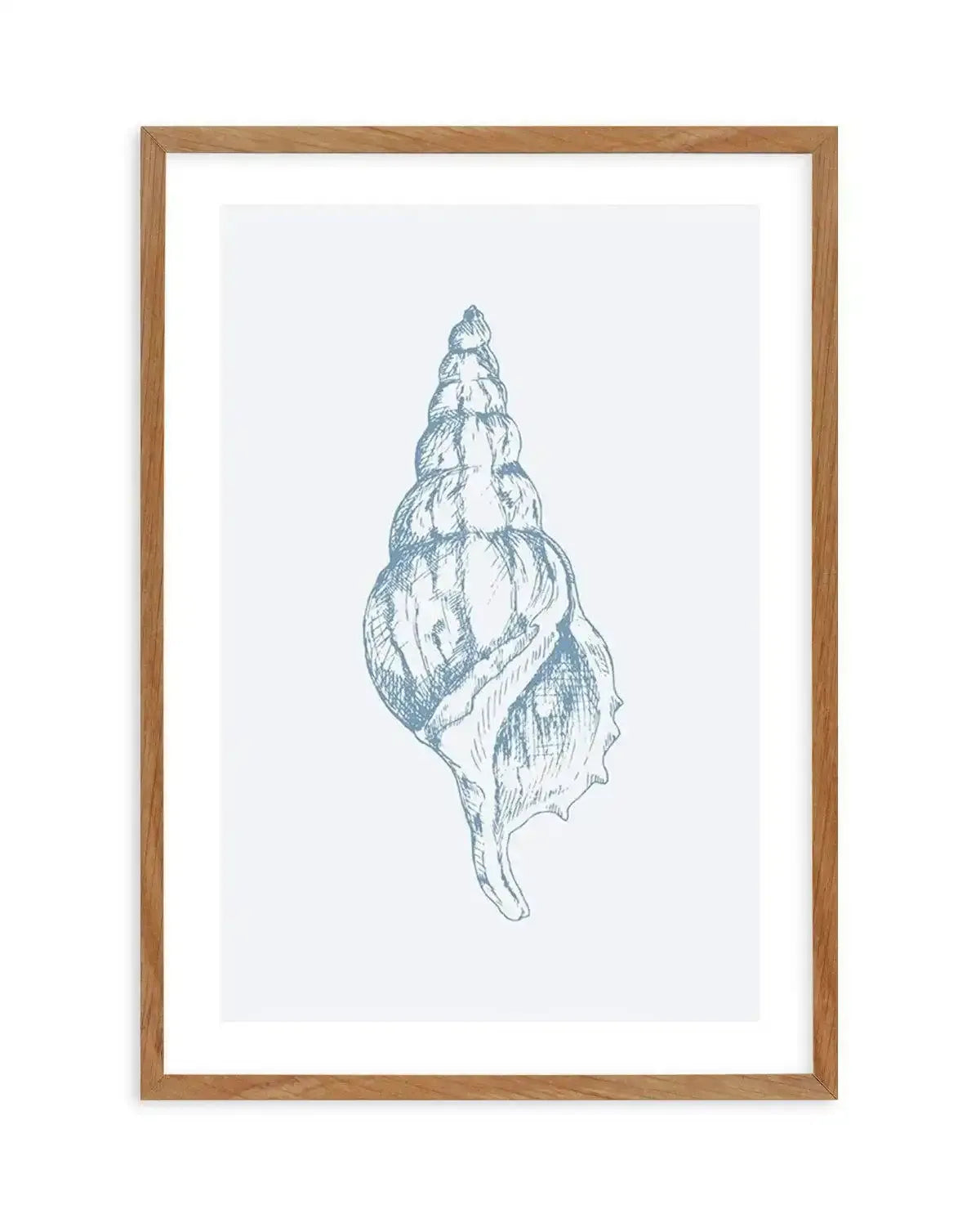 Seashell | Atlantic Triton Art Print-PRINT-Olive et Oriel-Olive et Oriel-50x70 cm | 19.6" x 27.5"-Walnut-With White Border-Buy-Australian-Art-Prints-Online-with-Olive-et-Oriel-Your-Artwork-Specialists-Austrailia-Decorate-With-Coastal-Photo-Wall-Art-Prints-From-Our-Beach-House-Artwork-Collection-Fine-Poster-and-Framed-Artwork
