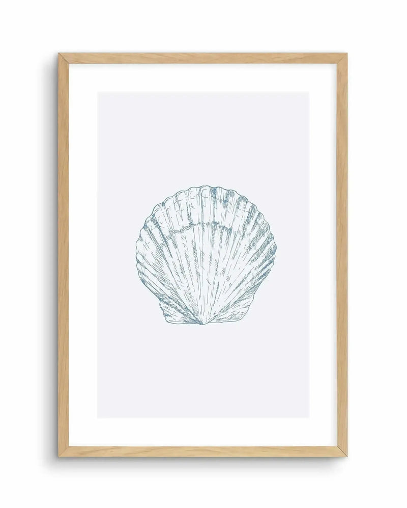 Framed art print featuring a detailed line drawing of a bay scallop shell in soft blue-green ink on white background. The scallop shell illustration showcases radiating ridges and natural texture through fine pen strokes. Print is mounted with white border in a natural wood frame with subtle grain visible.