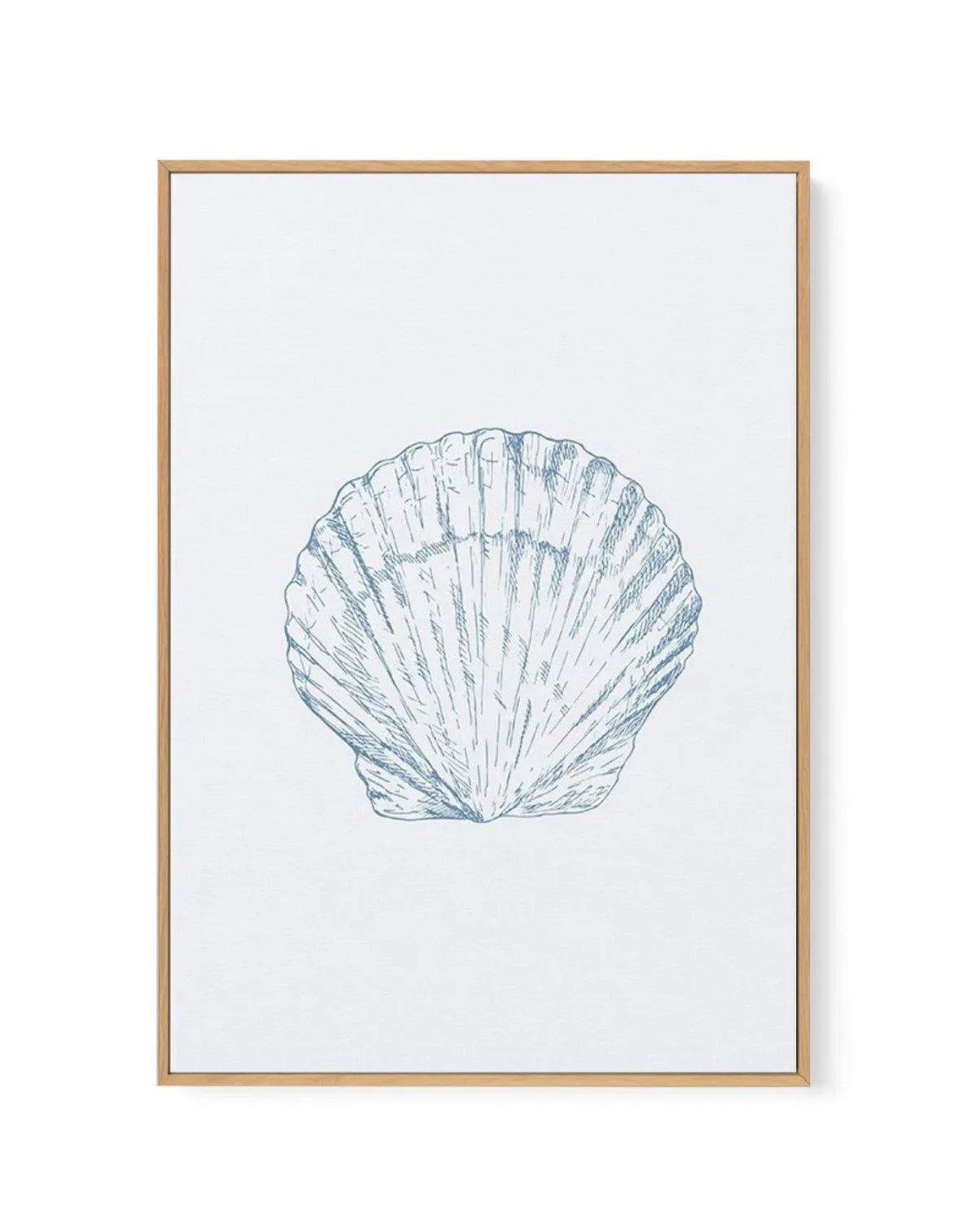 Seashell | Bay Scallop | Framed Canvas-CANVAS-You can shop wall art online with Olive et Oriel for everything from abstract art to fun kids wall art. Our beautiful modern art prints and canvas art are available from large canvas prints to wall art paintings and our proudly Australian artwork collection offers only the highest quality framed large wall art and canvas art Australia - You can buy fashion photography prints or Hampton print posters and paintings on canvas from Olive et Oriel and hav