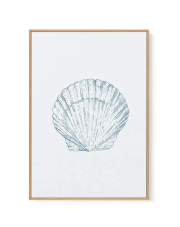 Seashell | Bay Scallop | Framed Canvas-CANVAS-You can shop wall art online with Olive et Oriel for everything from abstract art to fun kids wall art. Our beautiful modern art prints and canvas art are available from large canvas prints to wall art paintings and our proudly Australian artwork collection offers only the highest quality framed large wall art and canvas art Australia - You can buy fashion photography prints or Hampton print posters and paintings on canvas from Olive et Oriel and hav
