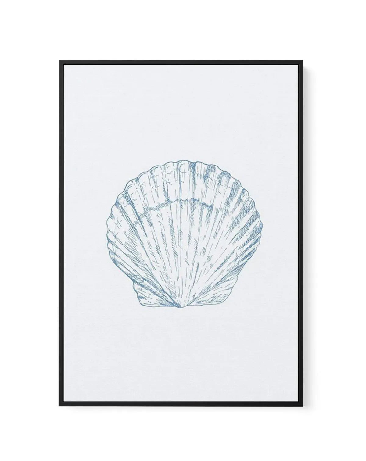 Seashell | Bay Scallop | Framed Canvas-CANVAS-You can shop wall art online with Olive et Oriel for everything from abstract art to fun kids wall art. Our beautiful modern art prints and canvas art are available from large canvas prints to wall art paintings and our proudly Australian artwork collection offers only the highest quality framed large wall art and canvas art Australia - You can buy fashion photography prints or Hampton print posters and paintings on canvas from Olive et Oriel and hav