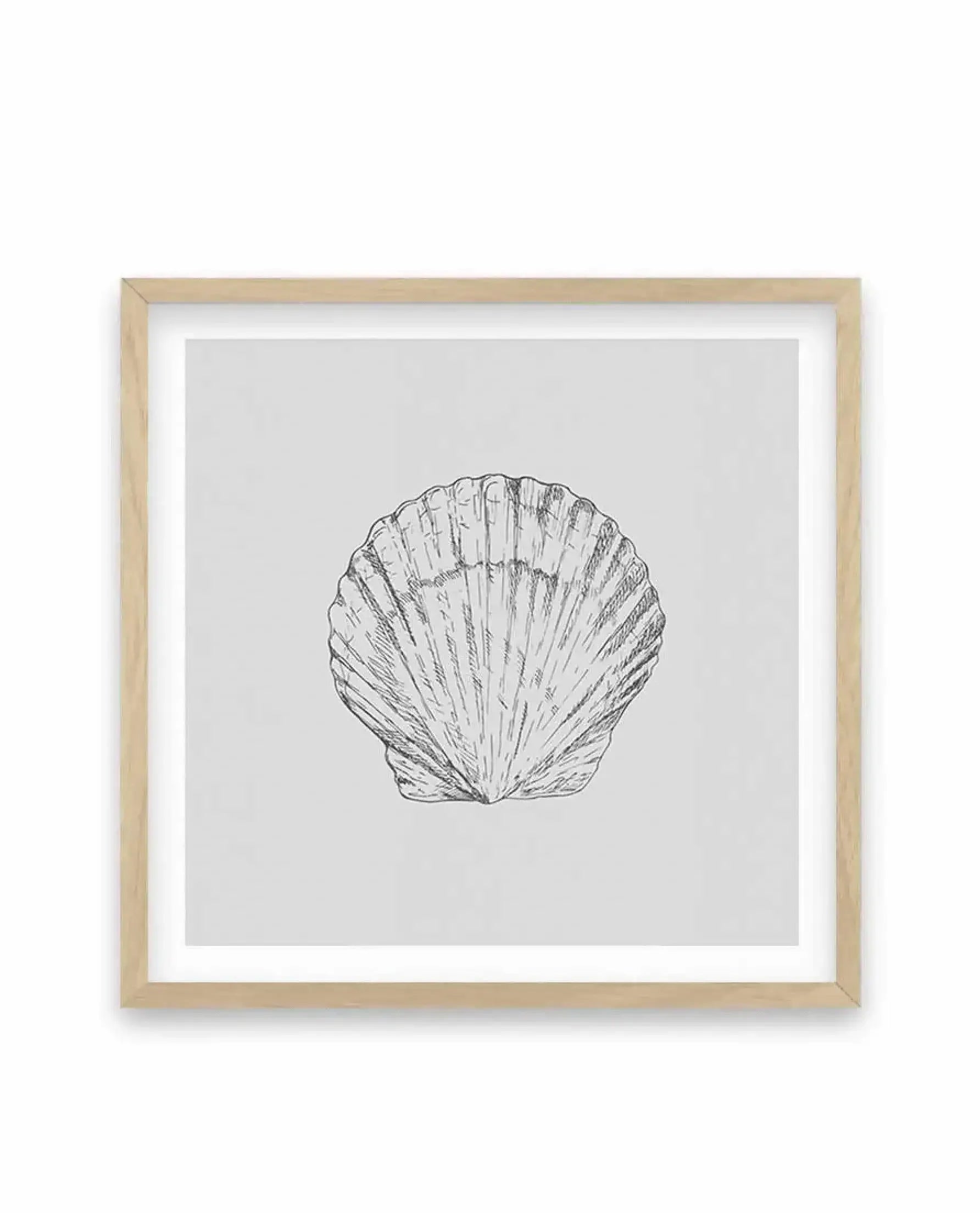 Seashell | Bay Scallop SQ Art Print-PRINT-Olive et Oriel-Olive et Oriel-70x70 cm | 27.5" x 27.5"-Oak-With White Border-Buy-Australian-Art-Prints-Online-with-Olive-et-Oriel-Your-Artwork-Specialists-Austrailia-Decorate-With-Coastal-Photo-Wall-Art-Prints-From-Our-Beach-House-Artwork-Collection-Fine-Poster-and-Framed-Artwork