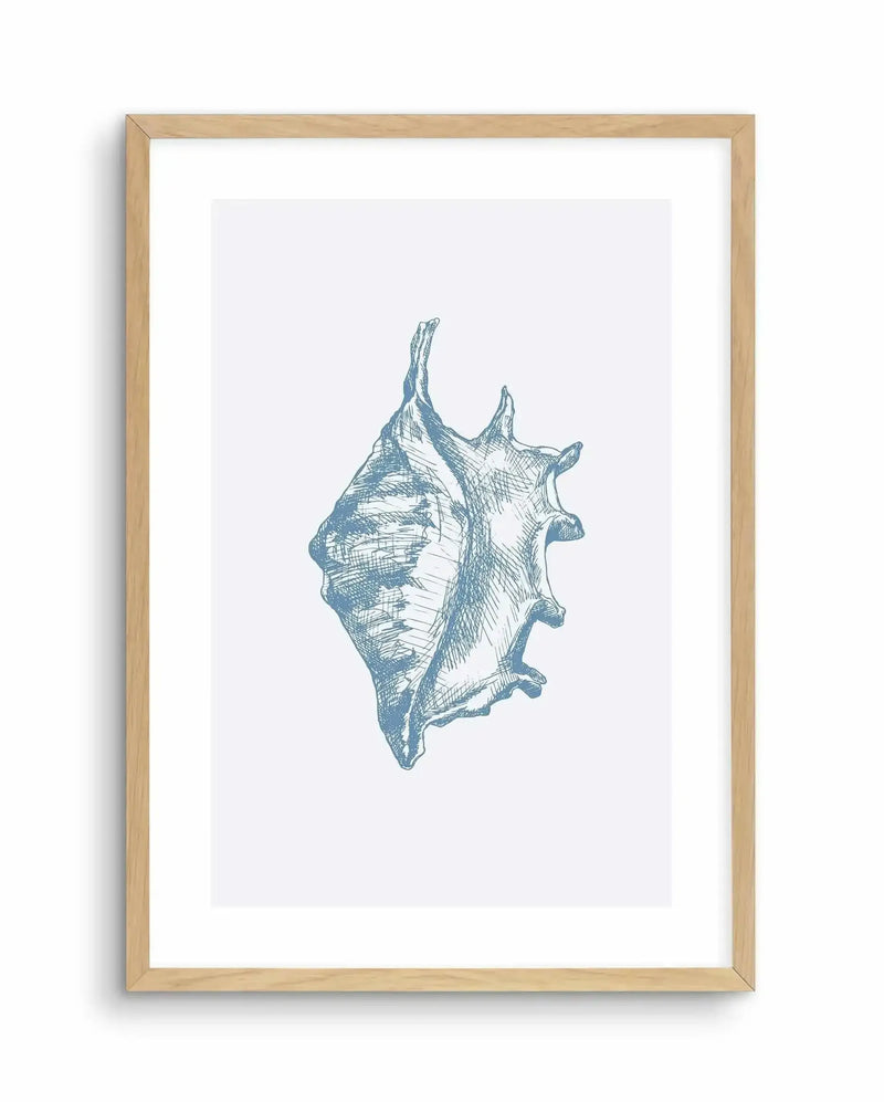 Framed art print featuring a detailed line drawing of a conch seashell in slate blue ink on a light gray background. The illustration uses fine cross-hatching and linear marks to create dimension and texture across the shell's ridged surface and spiral opening. The shell is centered vertically in the composition. Natural wood frame with a white border surrounding the artwork.