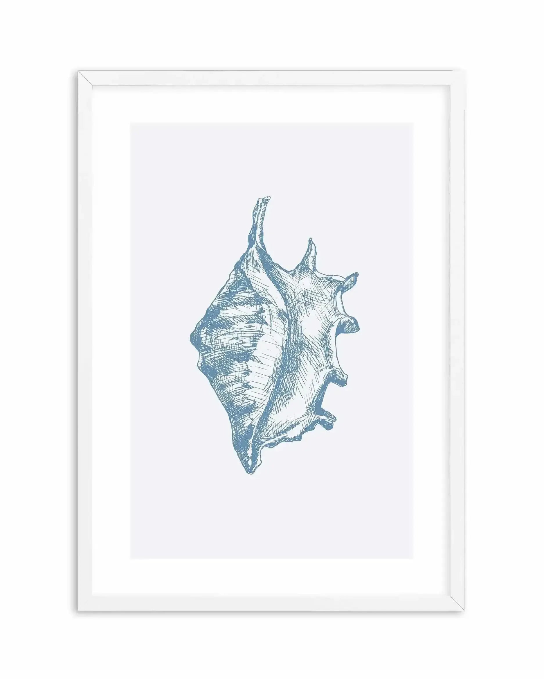 Seashell | Conch Art Print-PRINT-Olive et Oriel-Olive et Oriel-A5 | 5.8" x 8.3" | 14.8 x 21cm-White-With White Border-Buy-Australian-Art-Prints-Online-with-Olive-et-Oriel-Your-Artwork-Specialists-Austrailia-Decorate-With-Coastal-Photo-Wall-Art-Prints-From-Our-Beach-House-Artwork-Collection-Fine-Poster-and-Framed-Artwork
