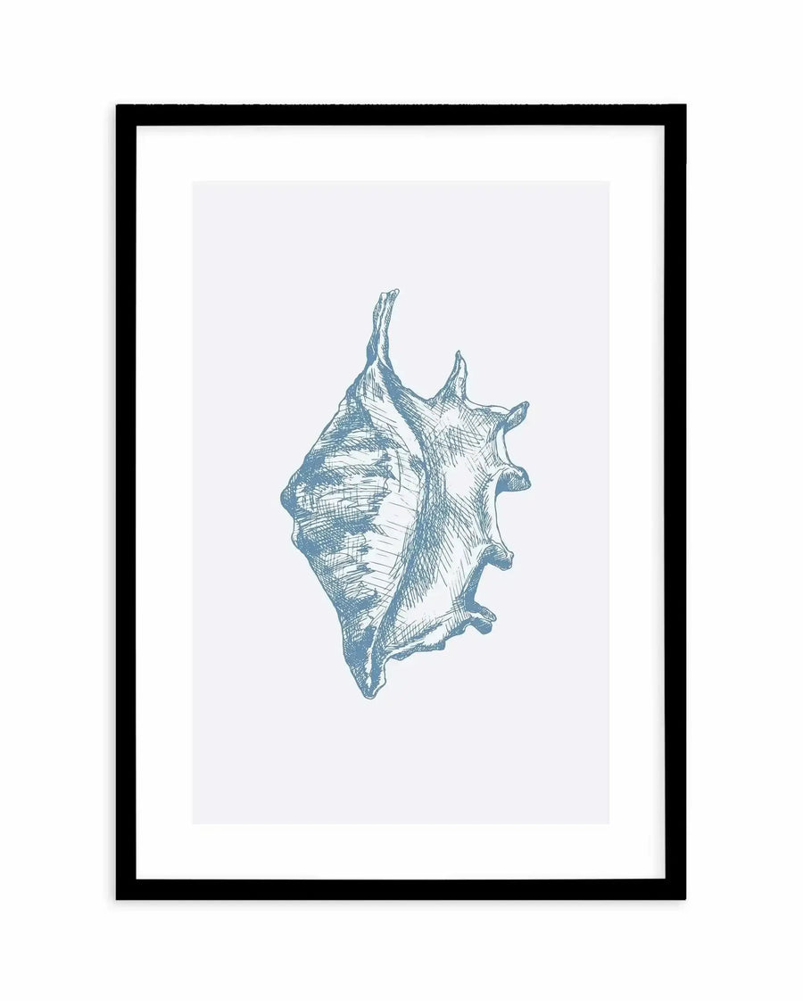 Framed art print featuring a detailed pen and ink illustration of a conch shell in teal blue against a light gray background. The shell is rendered with fine crosshatching and line work, showing dimensional shading and texture. The conch is positioned vertically in the center with its spiral point at the top and ridged body below. The artwork is mounted in a black frame with a white border.