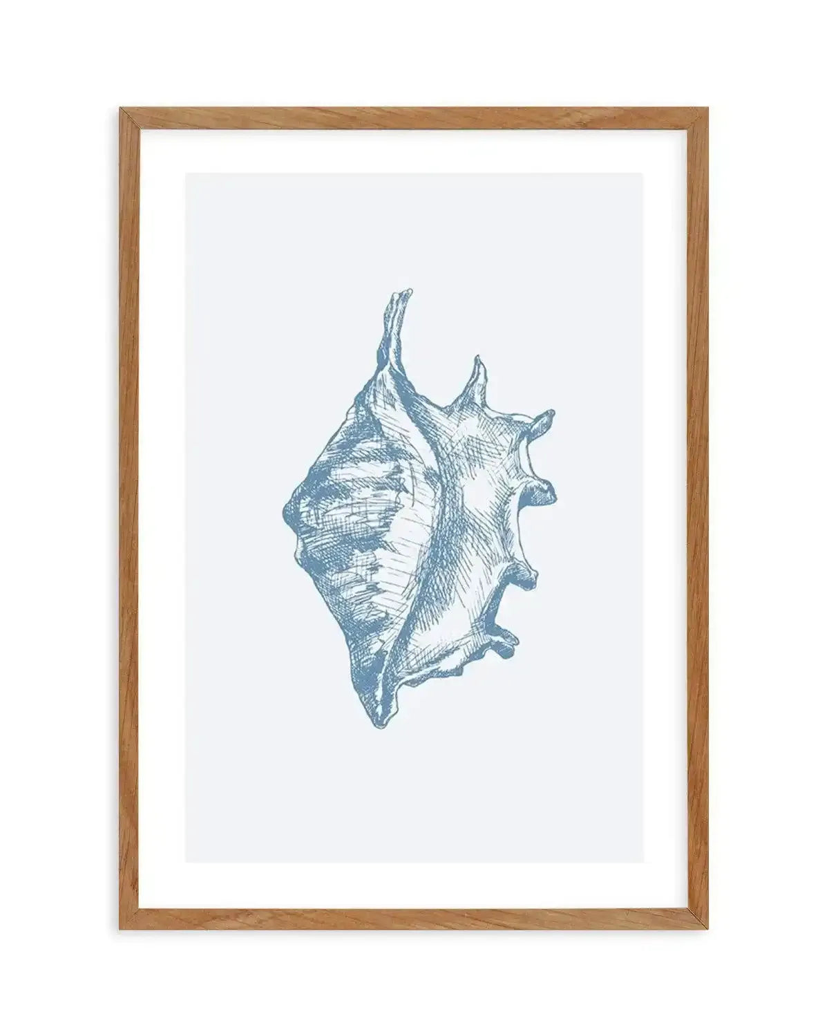 Seashell | Conch Art Print-PRINT-Olive et Oriel-Olive et Oriel-50x70 cm | 19.6" x 27.5"-Walnut-With White Border-Buy-Australian-Art-Prints-Online-with-Olive-et-Oriel-Your-Artwork-Specialists-Austrailia-Decorate-With-Coastal-Photo-Wall-Art-Prints-From-Our-Beach-House-Artwork-Collection-Fine-Poster-and-Framed-Artwork