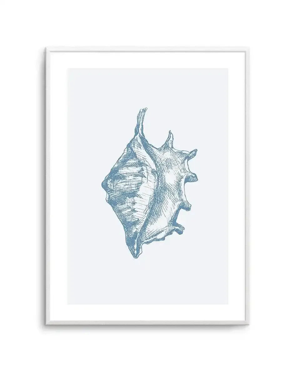 Seashell | Conch Art Print-PRINT-Olive et Oriel-Olive et Oriel-A5 | 5.8" x 8.3" | 14.8 x 21cm-Unframed Art Print-With White Border-Buy-Australian-Art-Prints-Online-with-Olive-et-Oriel-Your-Artwork-Specialists-Austrailia-Decorate-With-Coastal-Photo-Wall-Art-Prints-From-Our-Beach-House-Artwork-Collection-Fine-Poster-and-Framed-Artwork