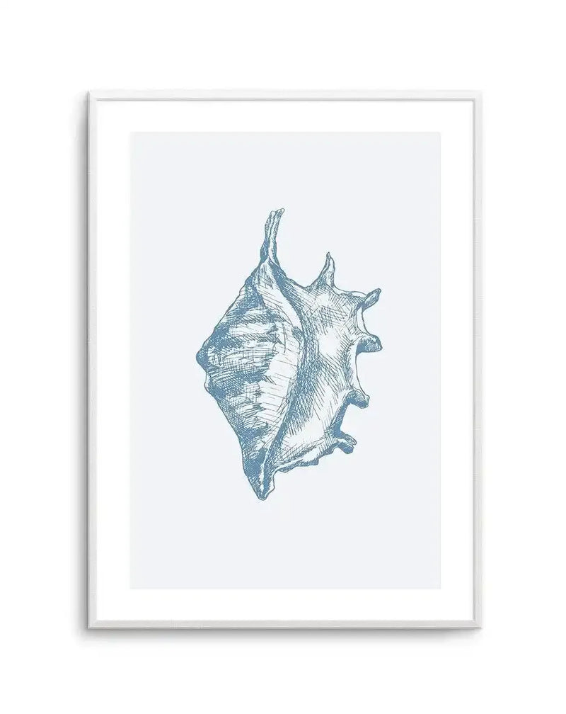 Framed art print featuring a detailed pen and ink illustration of a conch seashell in teal blue against a light gray background. The drawing shows fine cross-hatching and line work emphasizing the shell's spiral ridges, pointed spire, and flared opening. The artwork is mounted with a white border in a silver-toned frame.