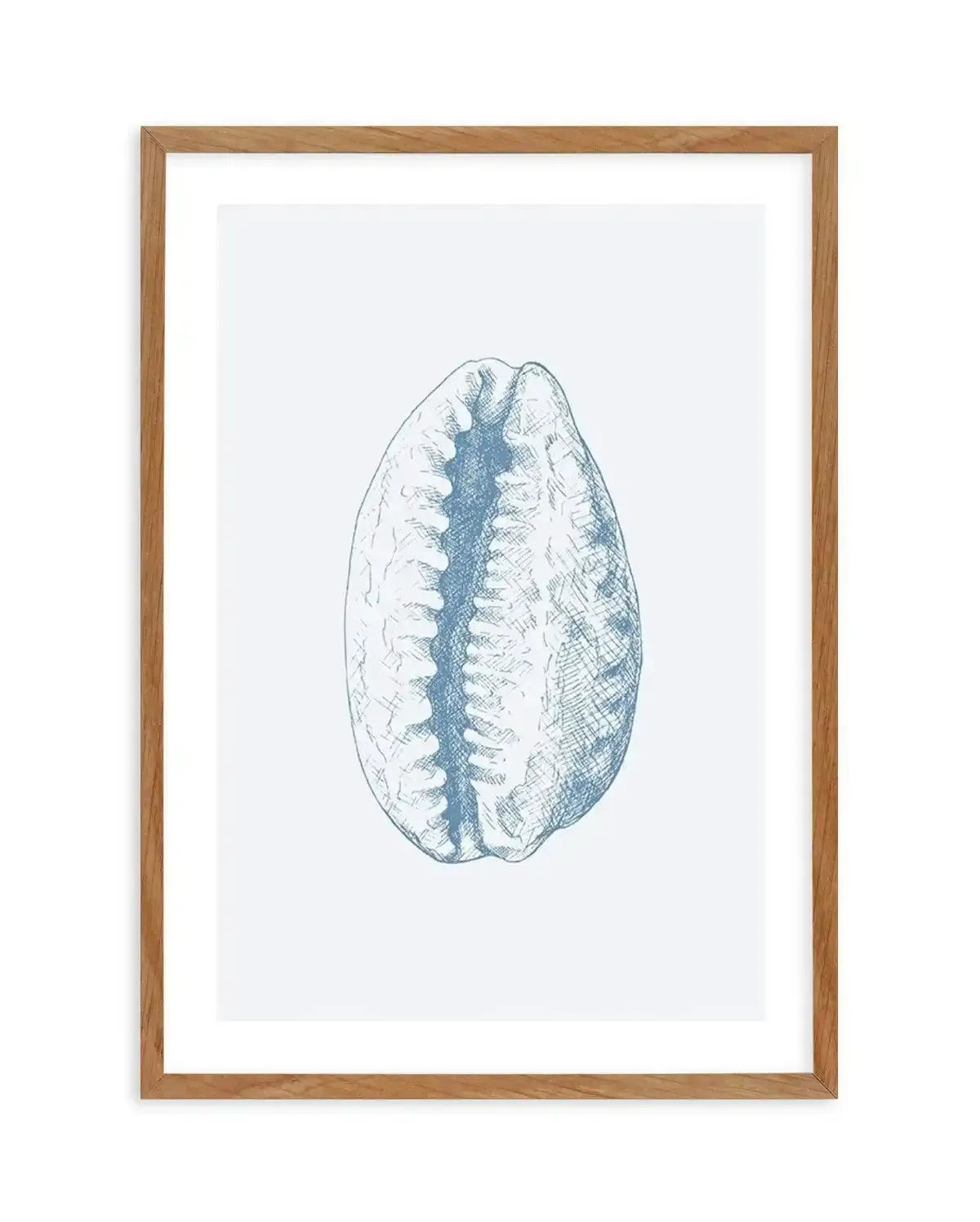 Seashell | Tiger Cowrie Art Print-PRINT-Olive et Oriel-Olive et Oriel-50x70 cm | 19.6" x 27.5"-Walnut-With White Border-Buy-Australian-Art-Prints-Online-with-Olive-et-Oriel-Your-Artwork-Specialists-Austrailia-Decorate-With-Coastal-Photo-Wall-Art-Prints-From-Our-Beach-House-Artwork-Collection-Fine-Poster-and-Framed-Artwork