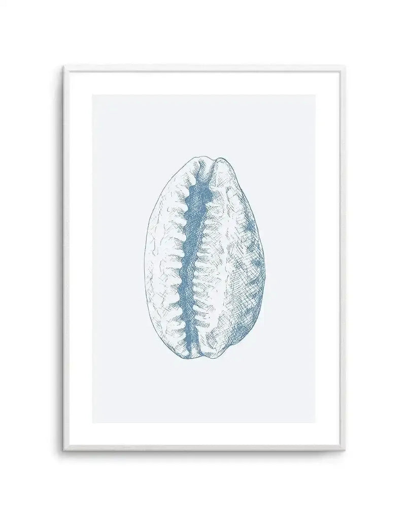Detailed line drawing of a tiger cowrie seashell in blue-grey ink on a light grey background, displayed in a silver-toned frame with white border. The illustration shows the shell's distinctive oval shape with a central ridge down the middle and dotted texture patterns covering the surface, rendered in fine pen strokes with cross-hatching for depth and dimension.