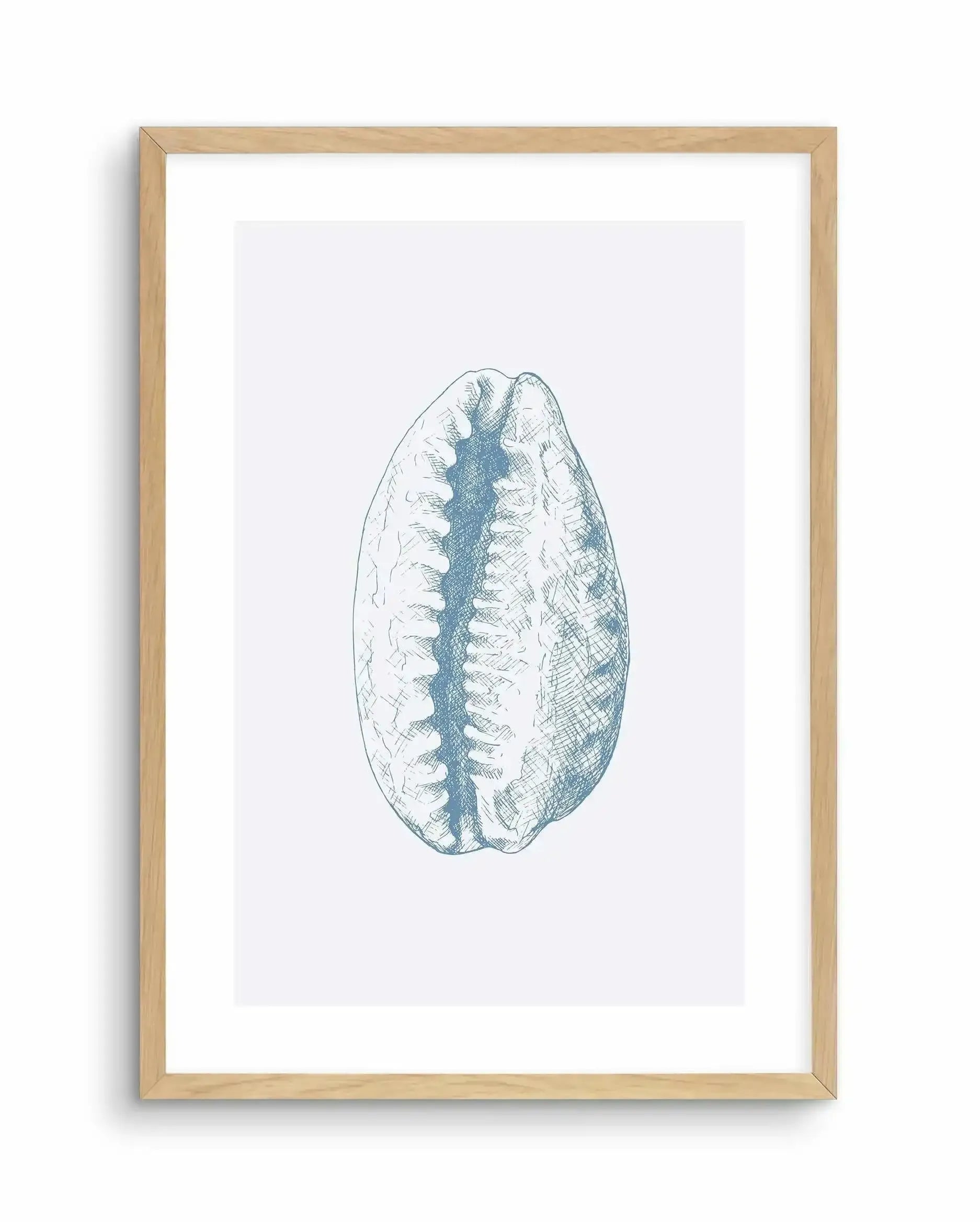 Seashell | Tiger Cowrie Art Print-PRINT-Olive et Oriel-Olive et Oriel-A5 | 5.8" x 8.3" | 14.8 x 21cm-Oak-With White Border-Buy-Australian-Art-Prints-Online-with-Olive-et-Oriel-Your-Artwork-Specialists-Austrailia-Decorate-With-Coastal-Photo-Wall-Art-Prints-From-Our-Beach-House-Artwork-Collection-Fine-Poster-and-Framed-Artwork