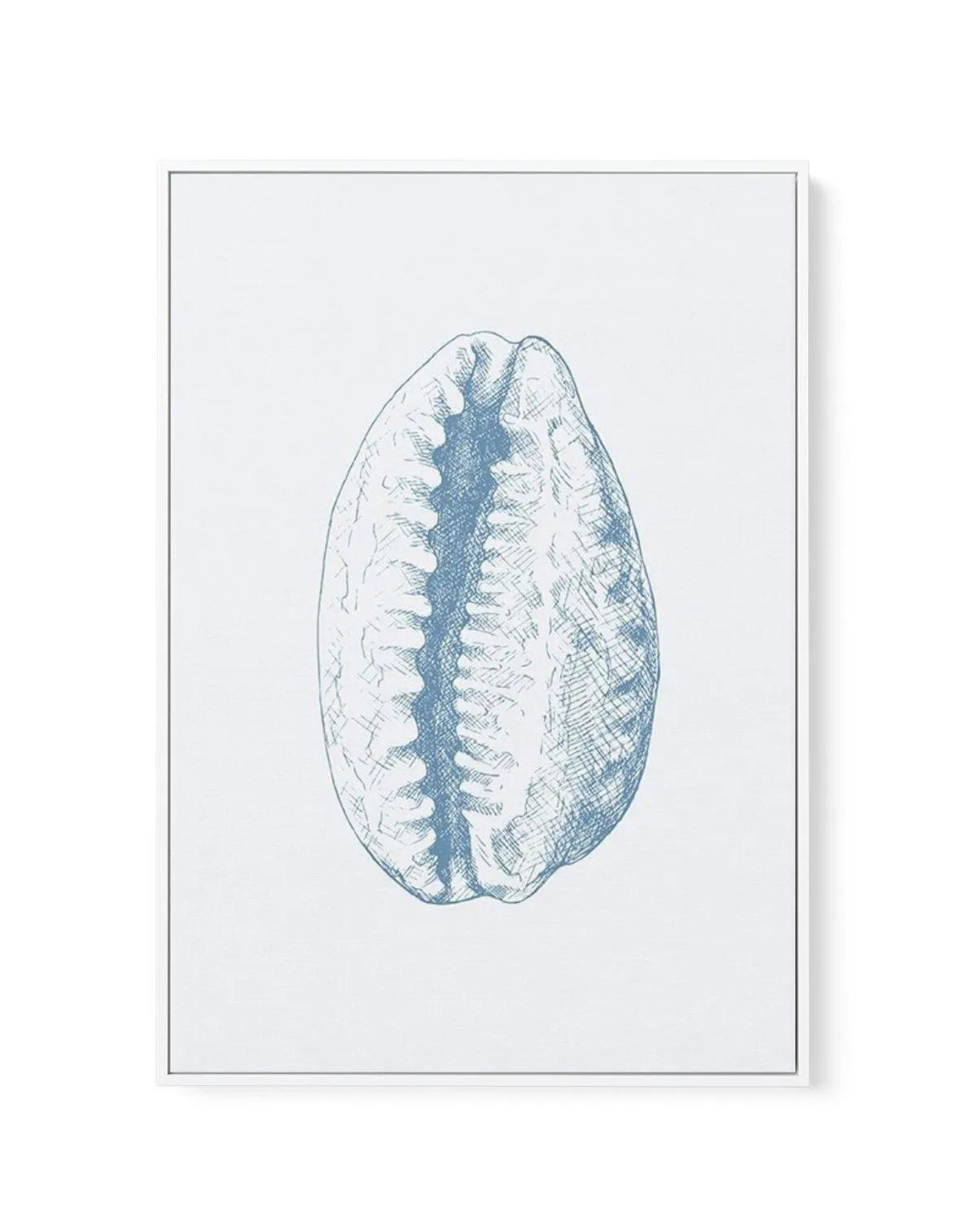 Seashell | Tiger Cowrie | Framed Canvas-CANVAS-You can shop wall art online with Olive et Oriel for everything from abstract art to fun kids wall art. Our beautiful modern art prints and canvas art are available from large canvas prints to wall art paintings and our proudly Australian artwork collection offers only the highest quality framed large wall art and canvas art Australia - You can buy fashion photography prints or Hampton print posters and paintings on canvas from Olive et Oriel and ha