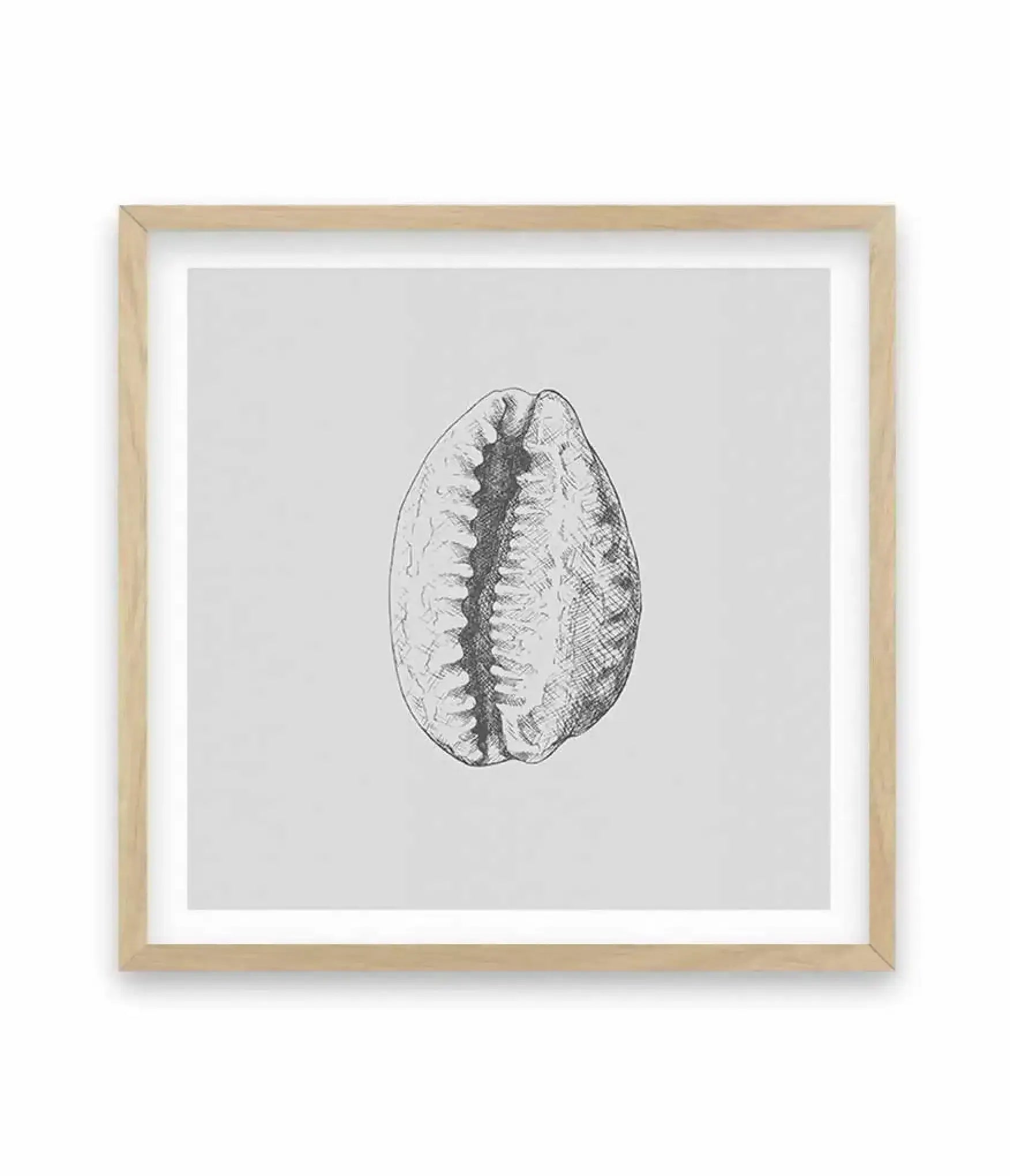 Seashell | Tiger Cowrie SQ Art Print-PRINT-Olive et Oriel-Olive et Oriel-70x70 cm | 27.5" x 27.5"-Oak-With White Border-Buy-Australian-Art-Prints-Online-with-Olive-et-Oriel-Your-Artwork-Specialists-Austrailia-Decorate-With-Coastal-Photo-Wall-Art-Prints-From-Our-Beach-House-Artwork-Collection-Fine-Poster-and-Framed-Artwork