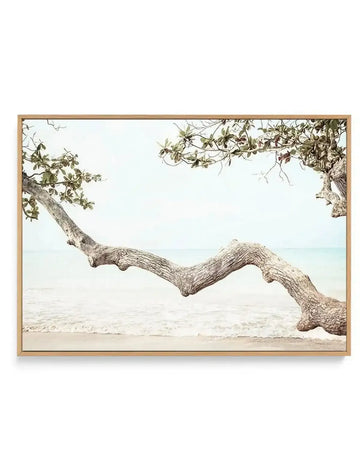 Framed canvas print of a serene coastal scene featuring a large, gnarled tree branch extending horizontally across the frame, with the ocean and sandy beach in the background. The branch has textured, light grey bark and sparse green leaves, while the ocean is a pale blue-green with gentle white waves breaking on the light beige sand. The print is displayed in a natural wood frame.